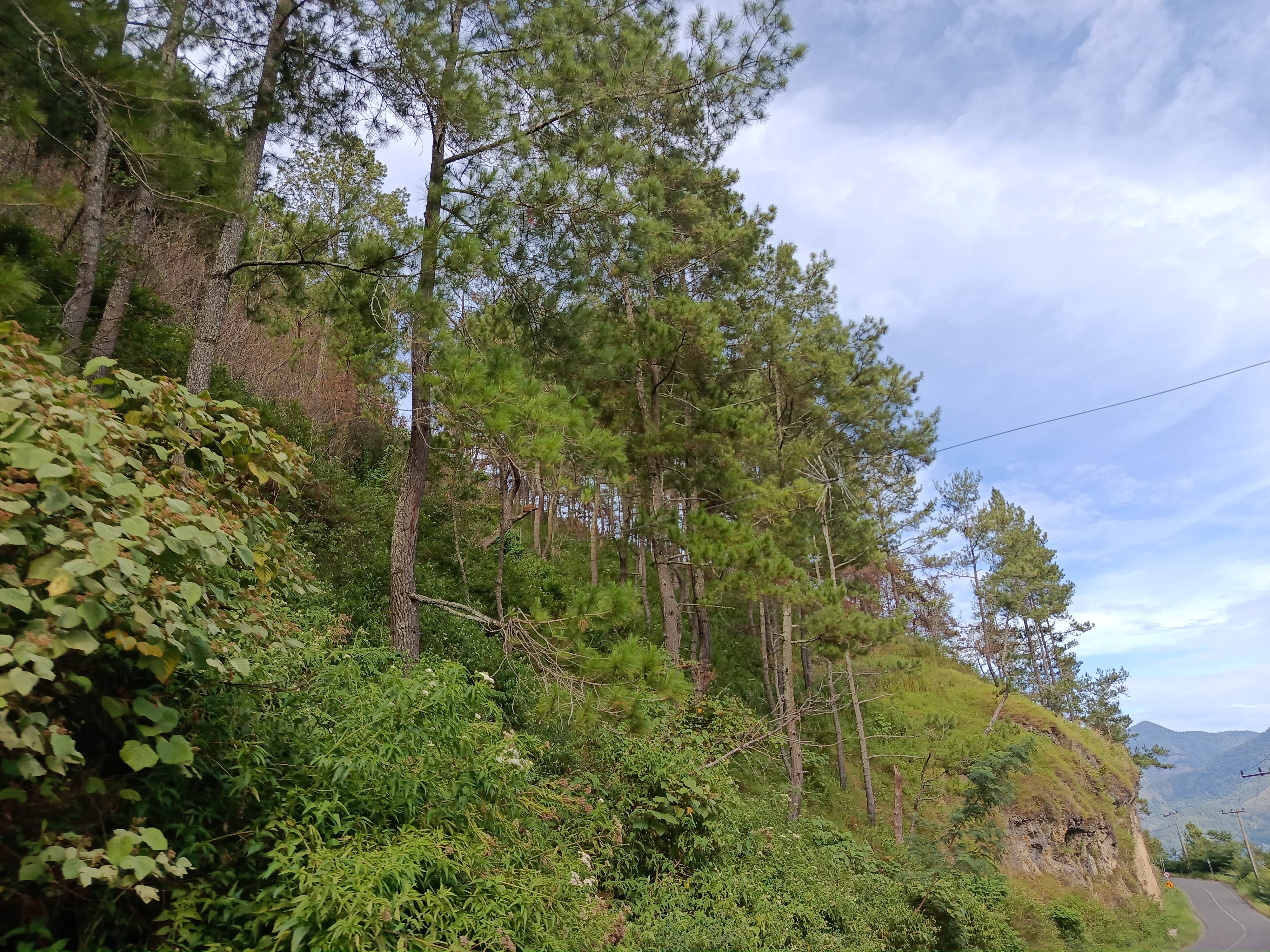 IMG_20250610_160625.jpg