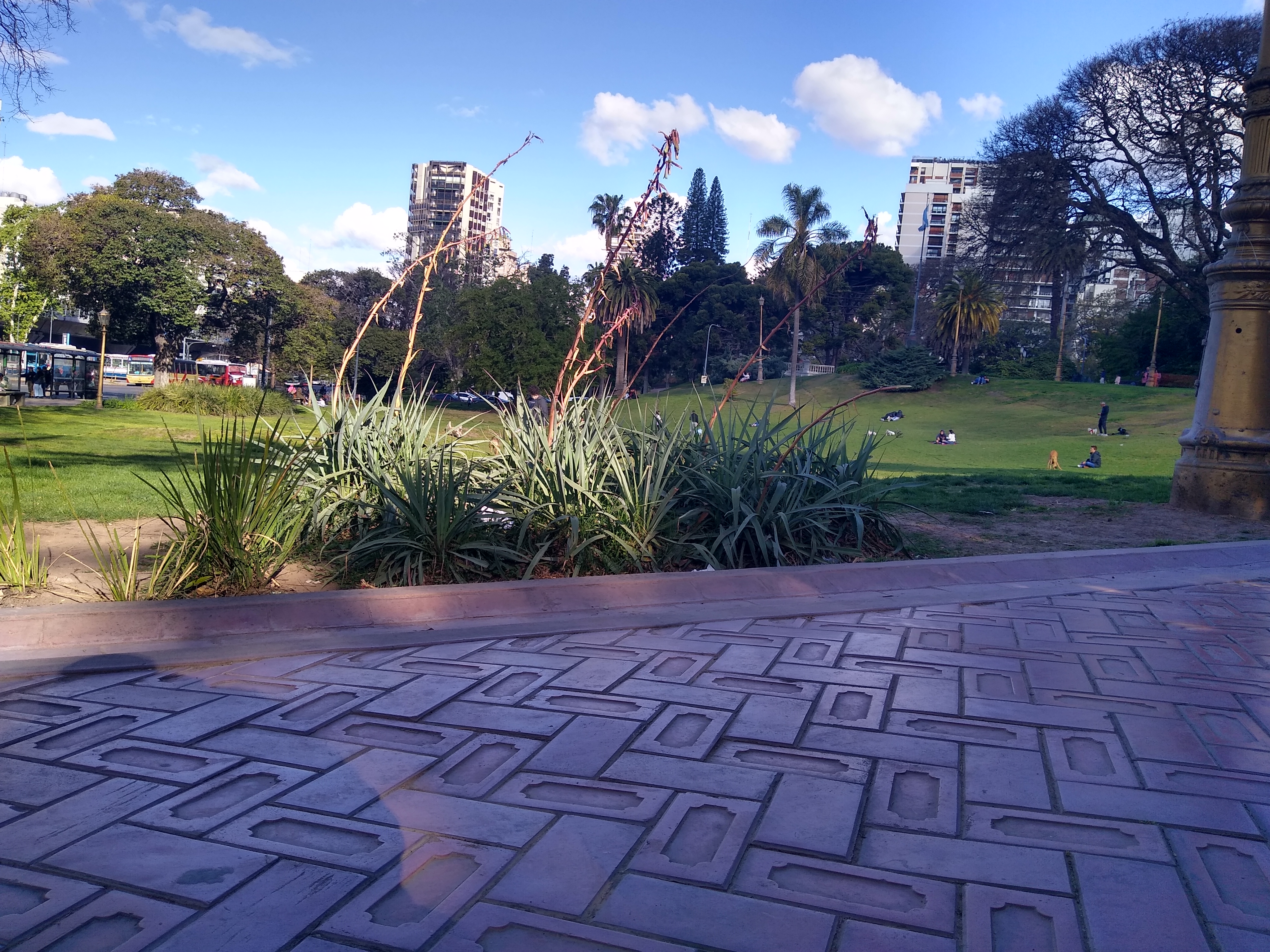 IMG_20221008_164238464_HDR.jpg