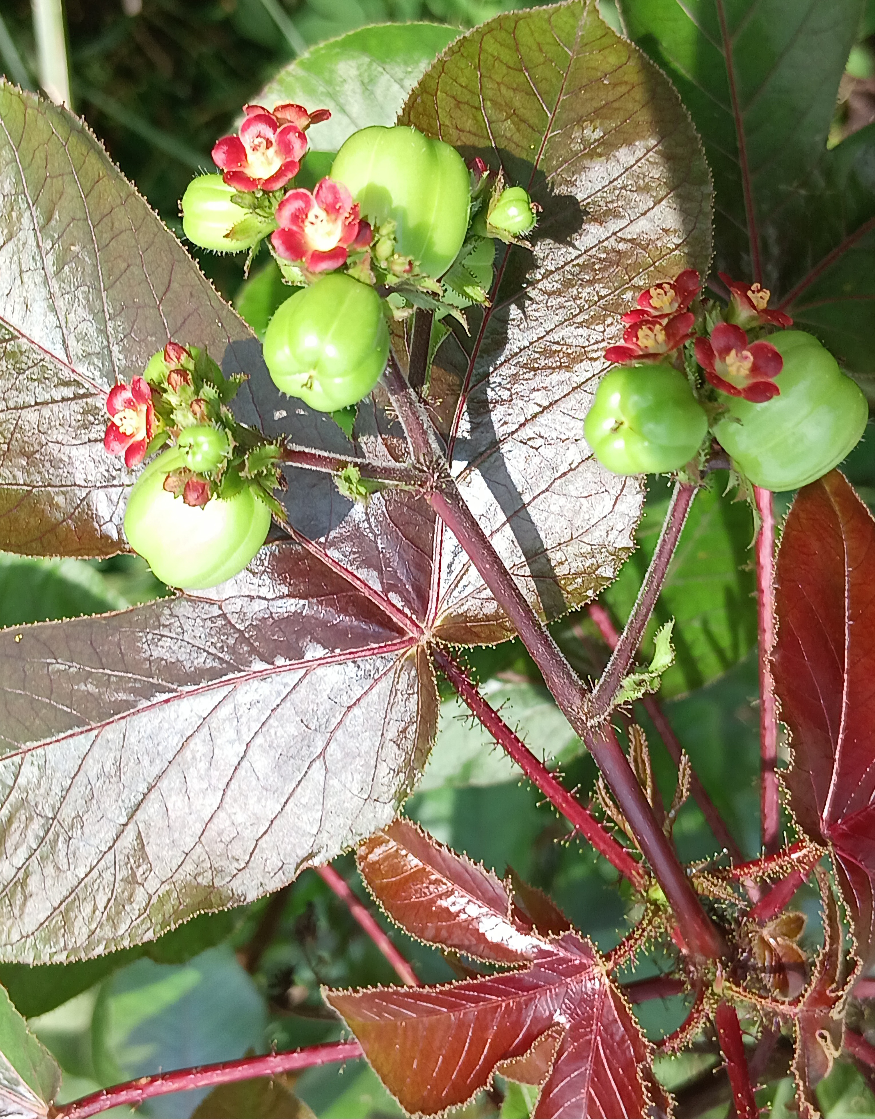 20250801_095600.jpg