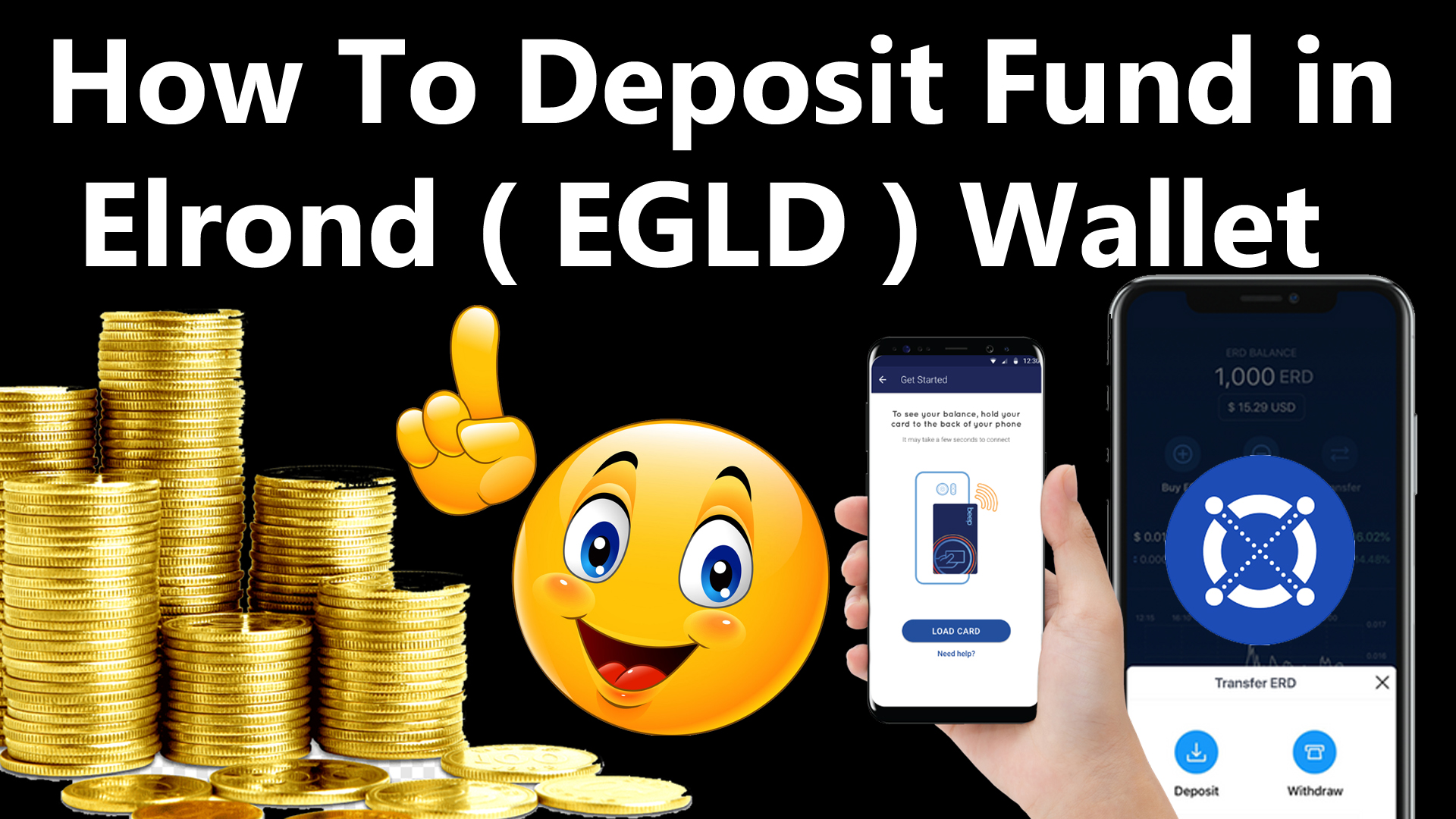 How To Deposit Fund in Elrond ( EGLD ) Wallet by Crypto Wallets Info copy.jpg