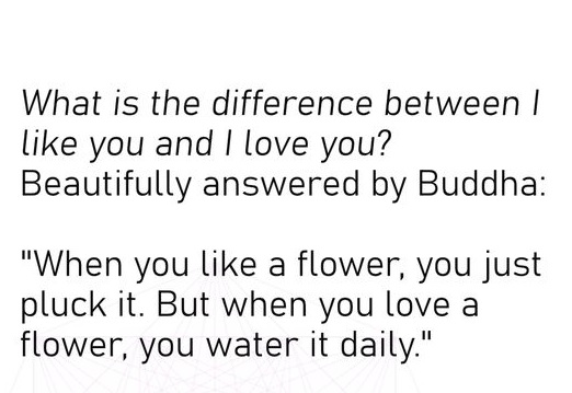 budda saying.jpg