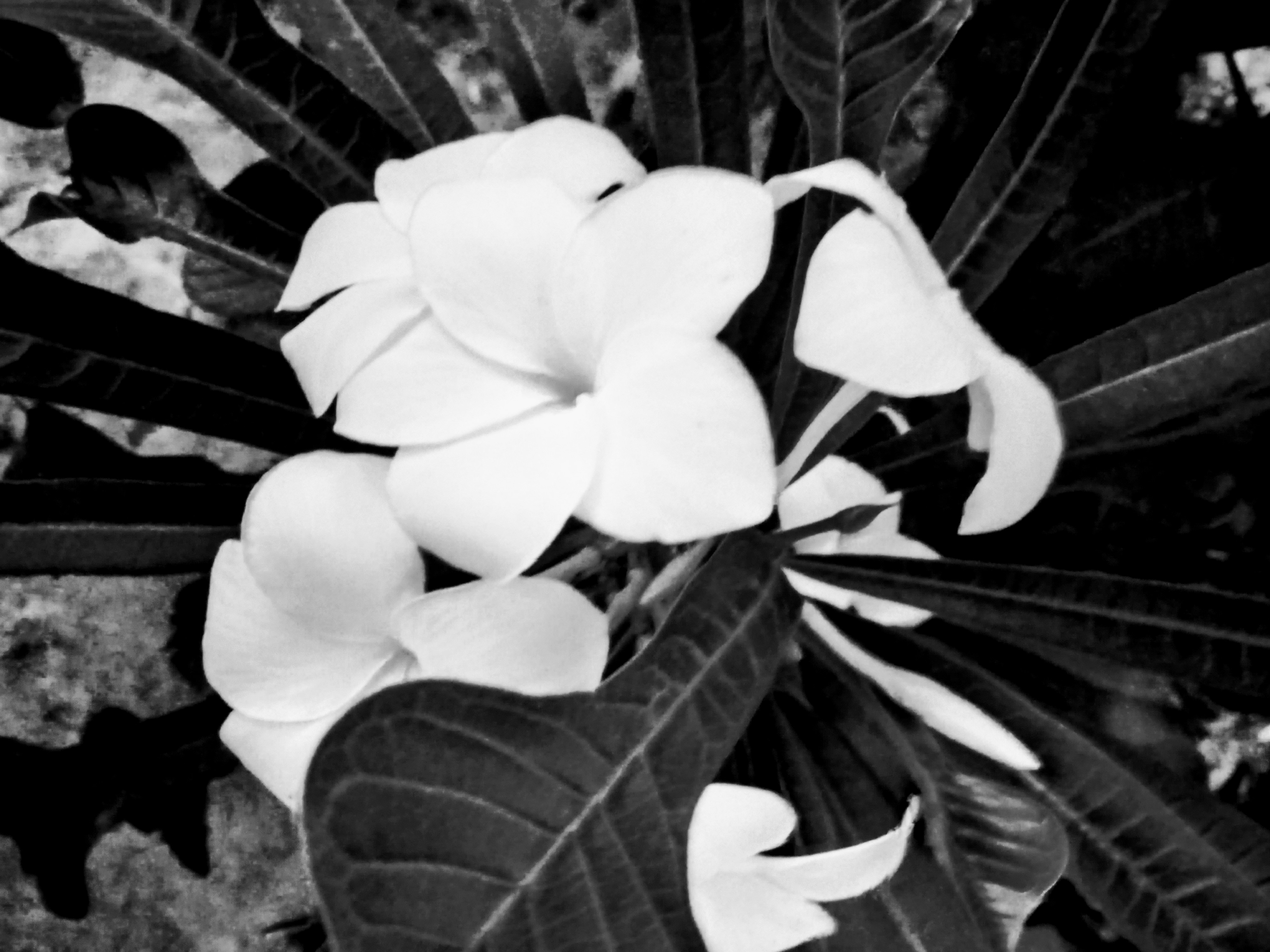 20250720_190443~2.jpg