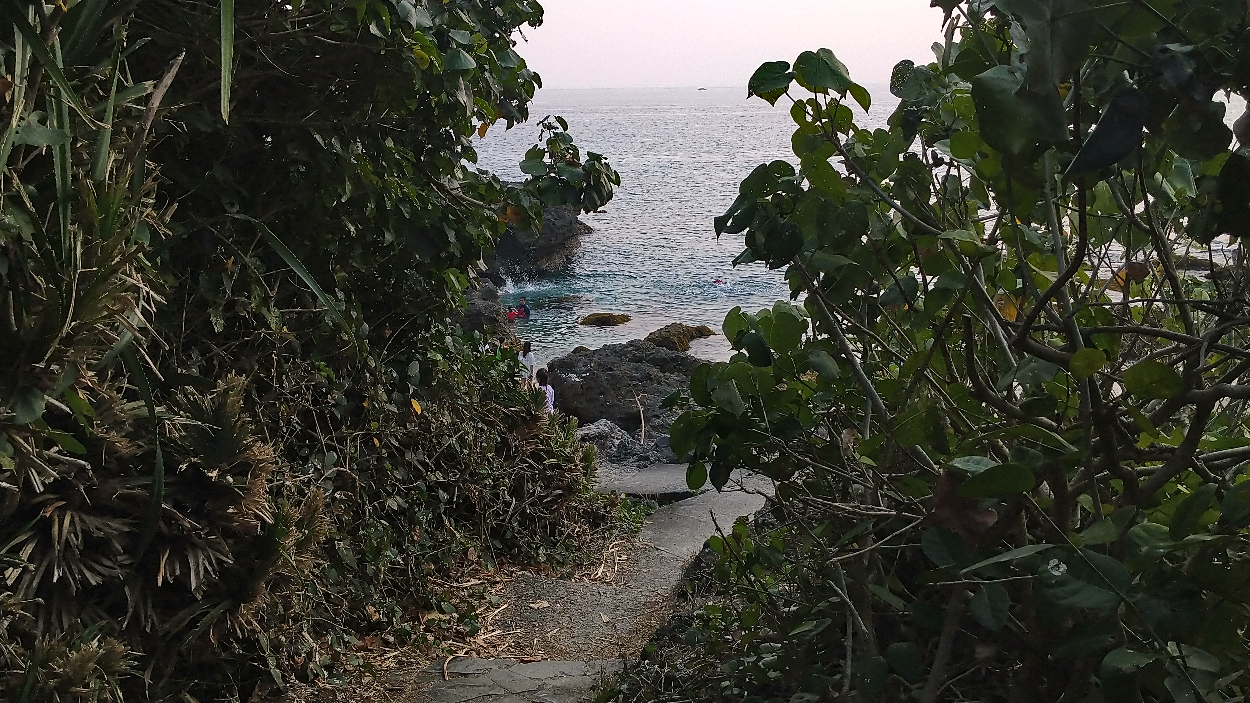 DSC_7937.JPG