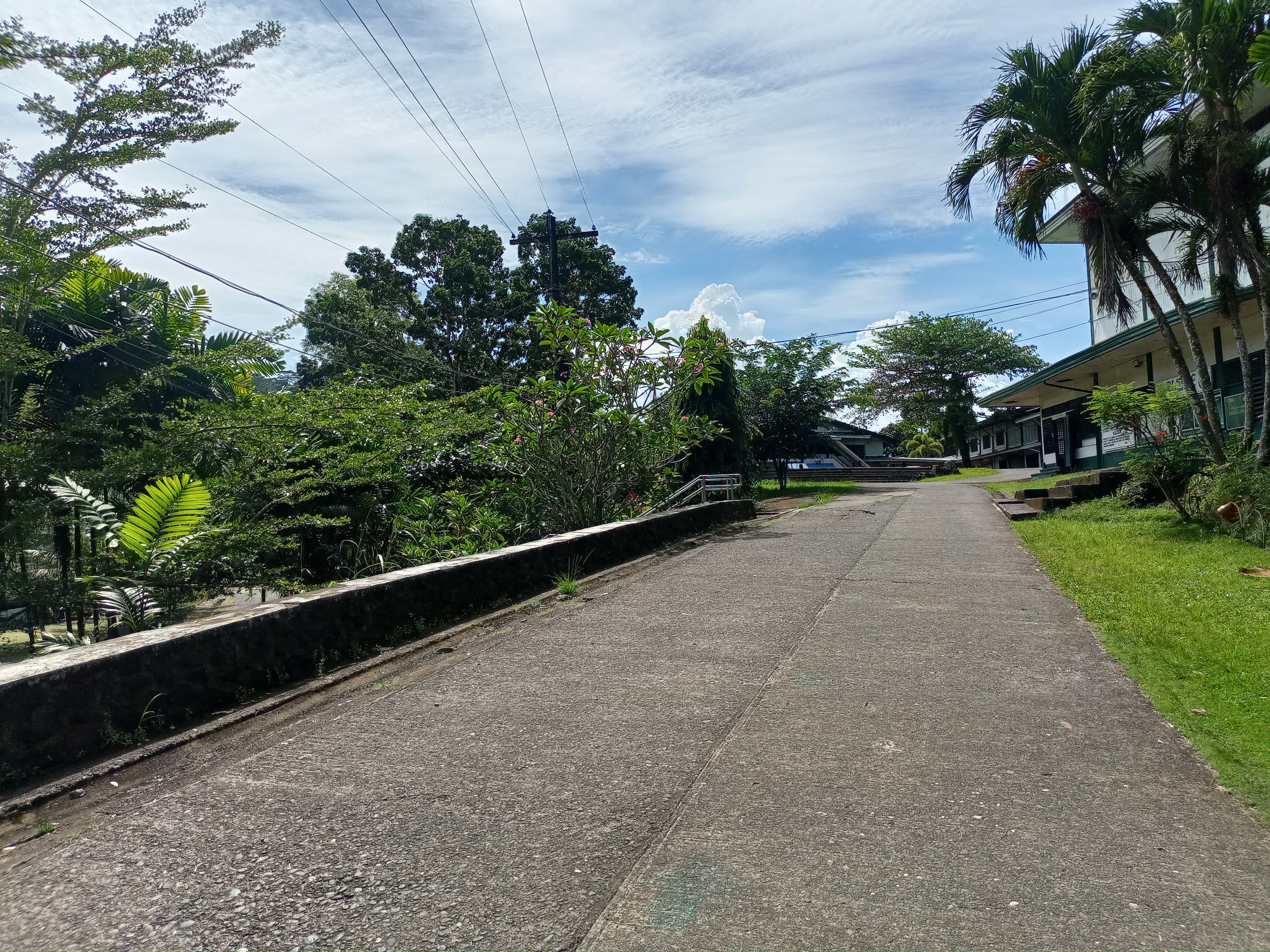 IMG20250325135046.jpg