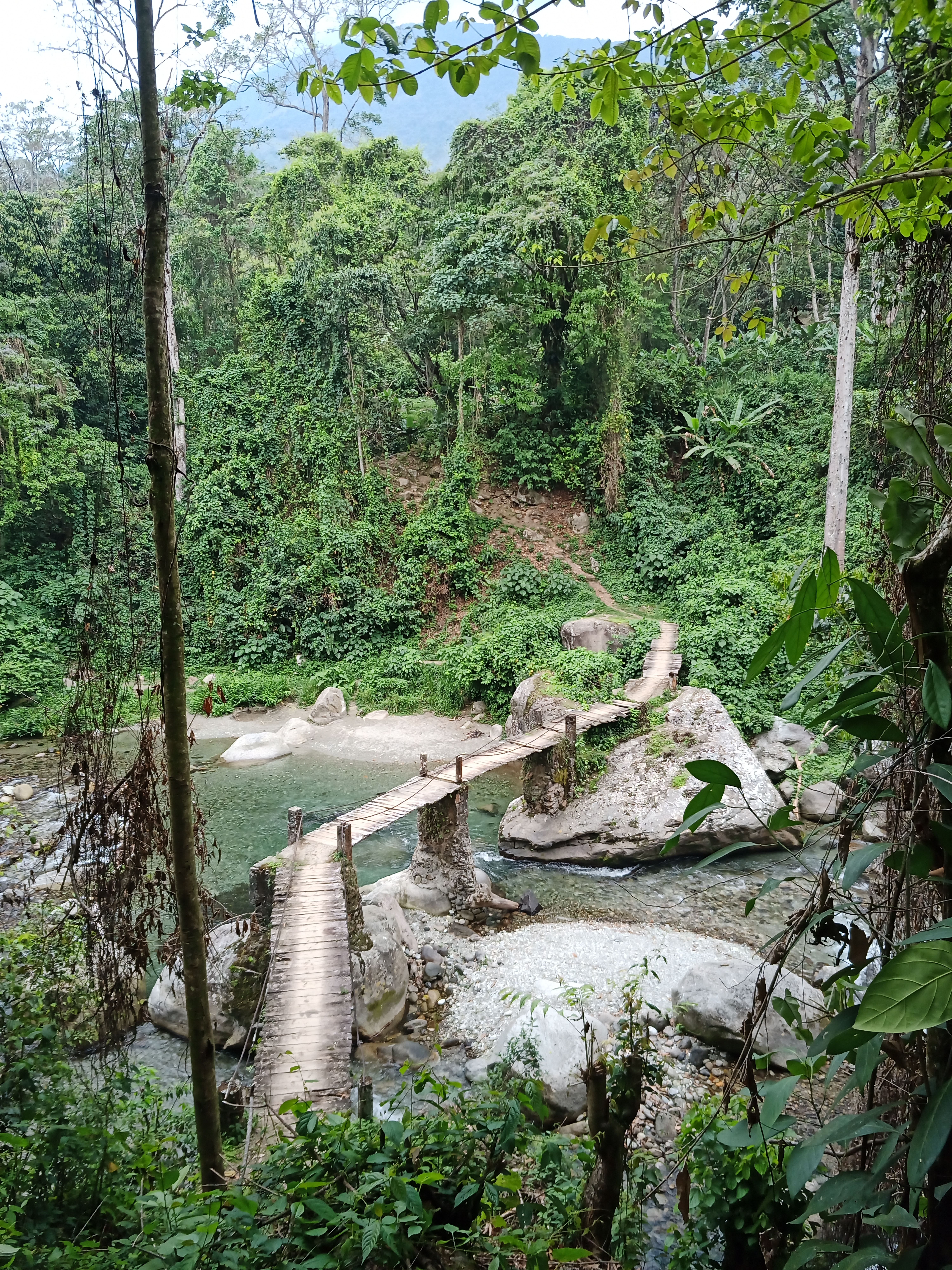 IMG_20220410_124200_645(1).jpg