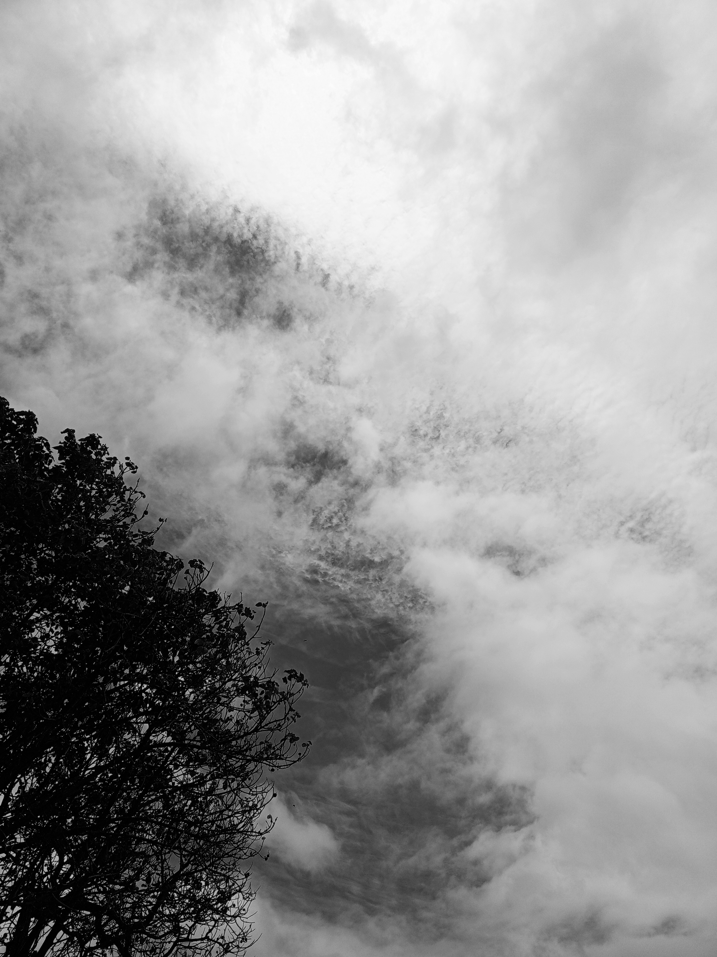 IMG_20250408_121856_531.jpg