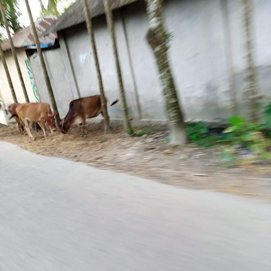 received_1041767903312272.jpeg