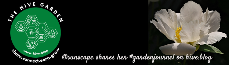 banner-c.png