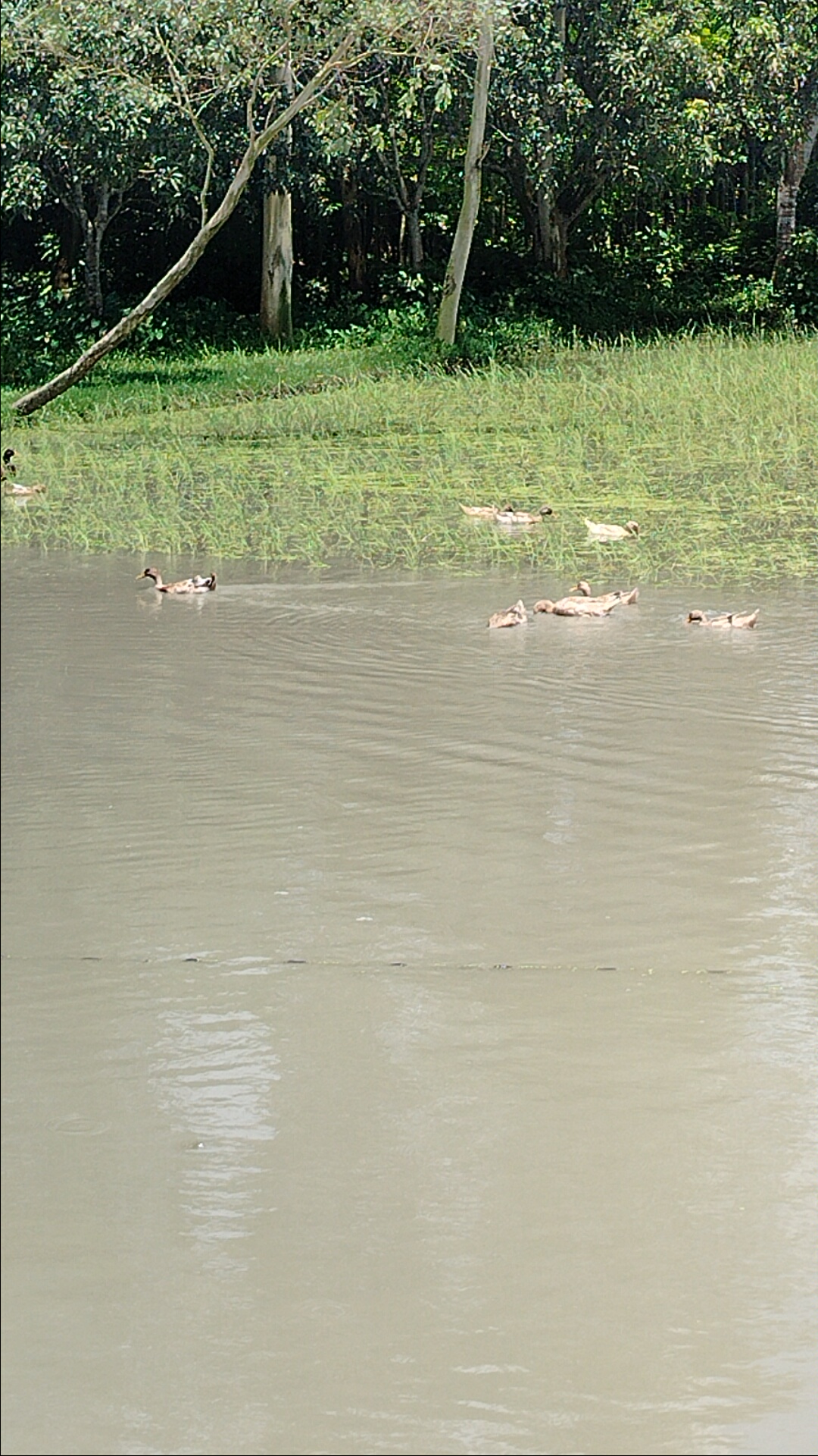 IMG20250816123051_01.jpg
