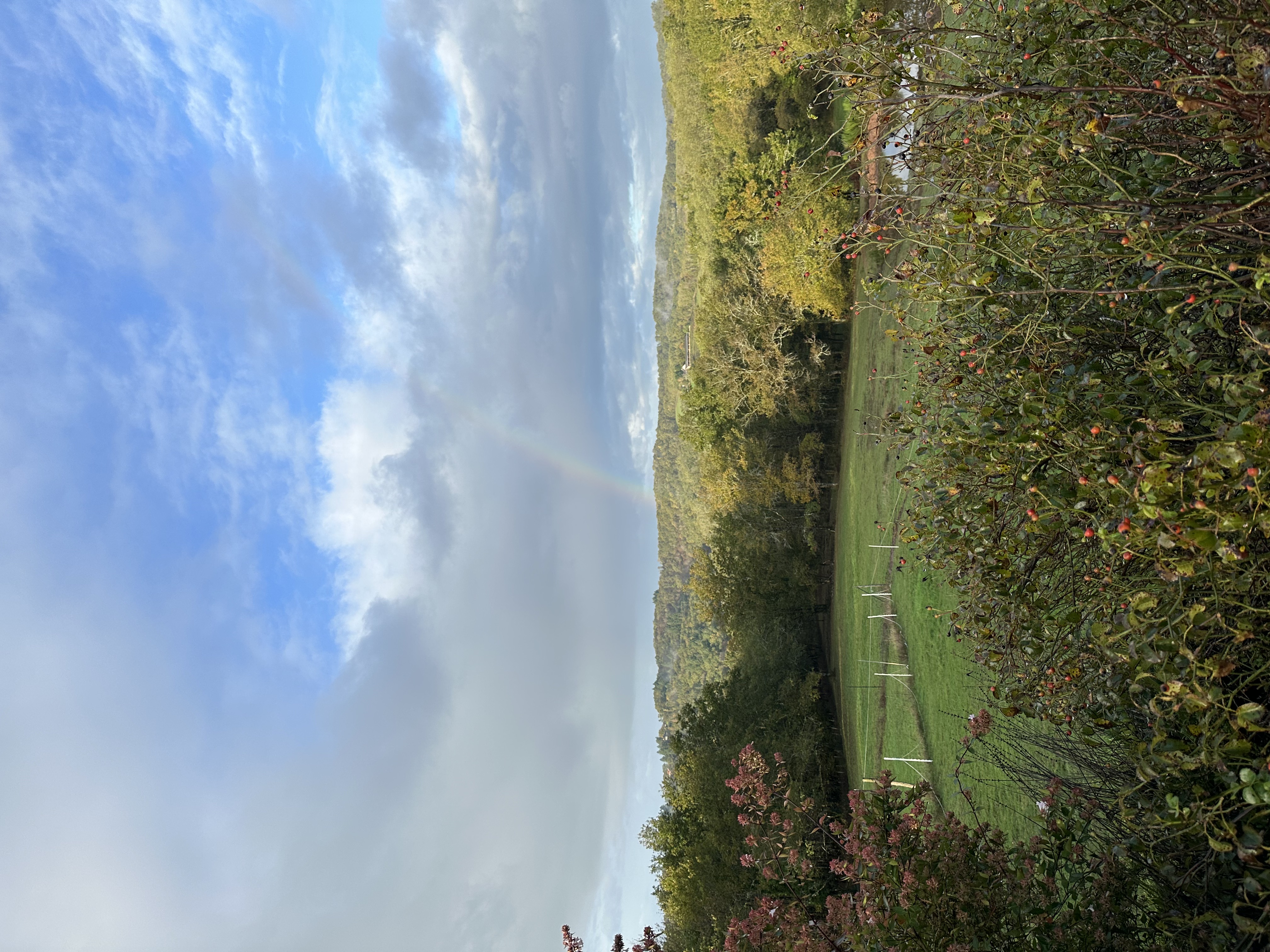 IMG_1160.jpeg