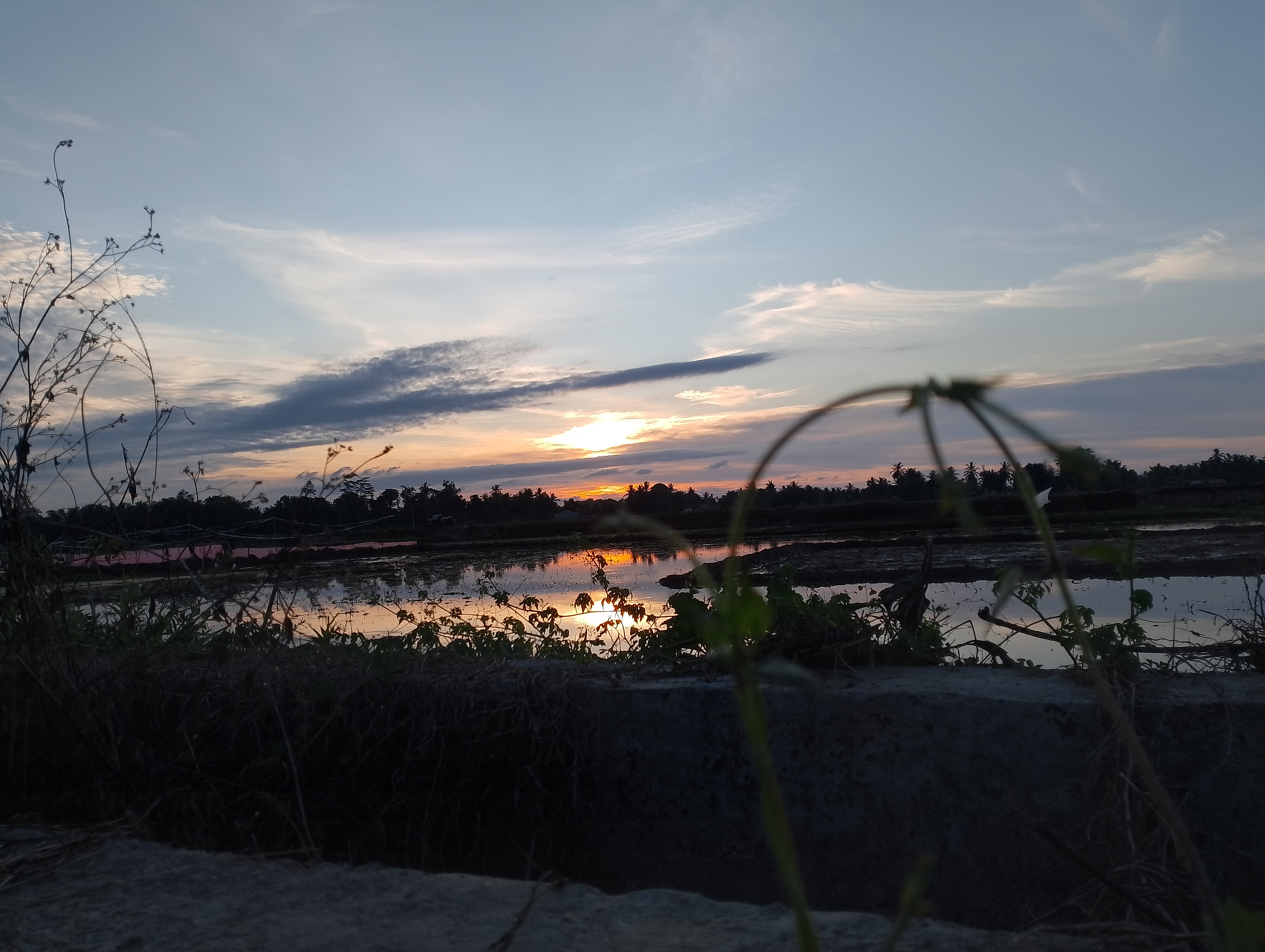IMG_20250709_182940.jpg