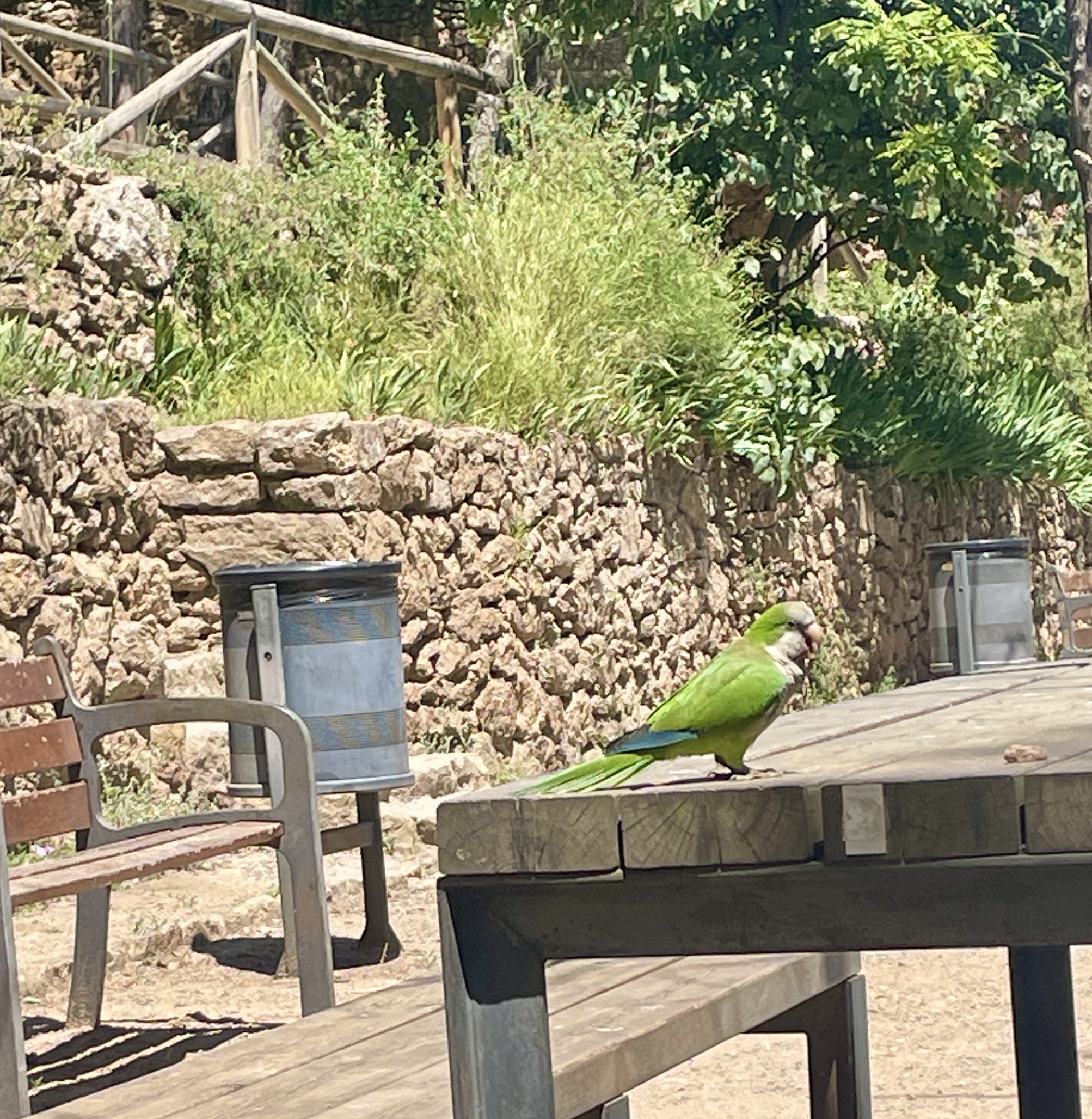 IMG_5426.jpeg