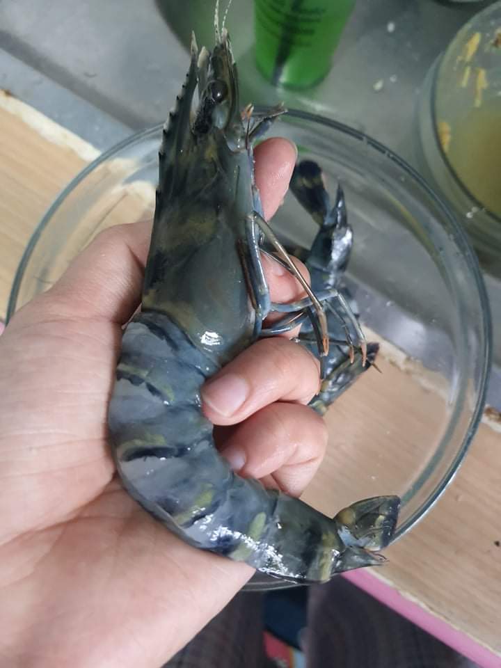 received_975751706519286.jpeg