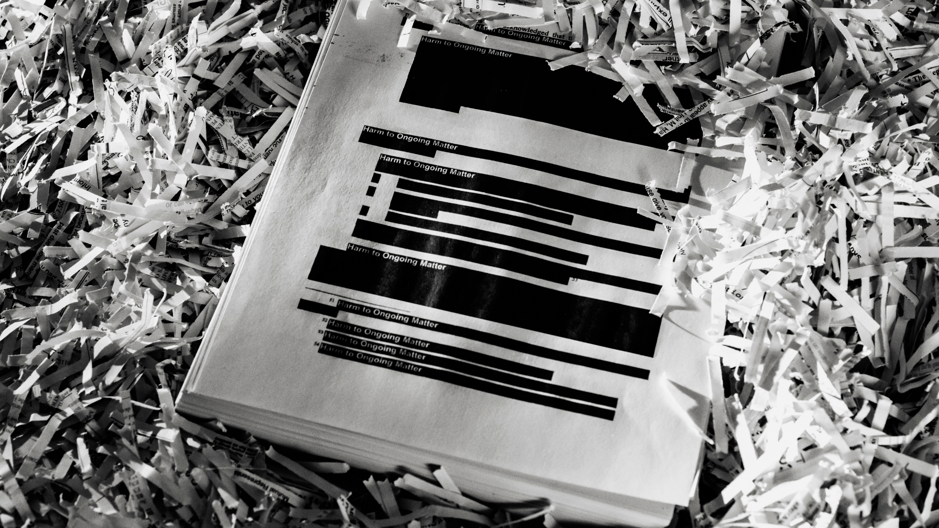 Untitled design 2.png