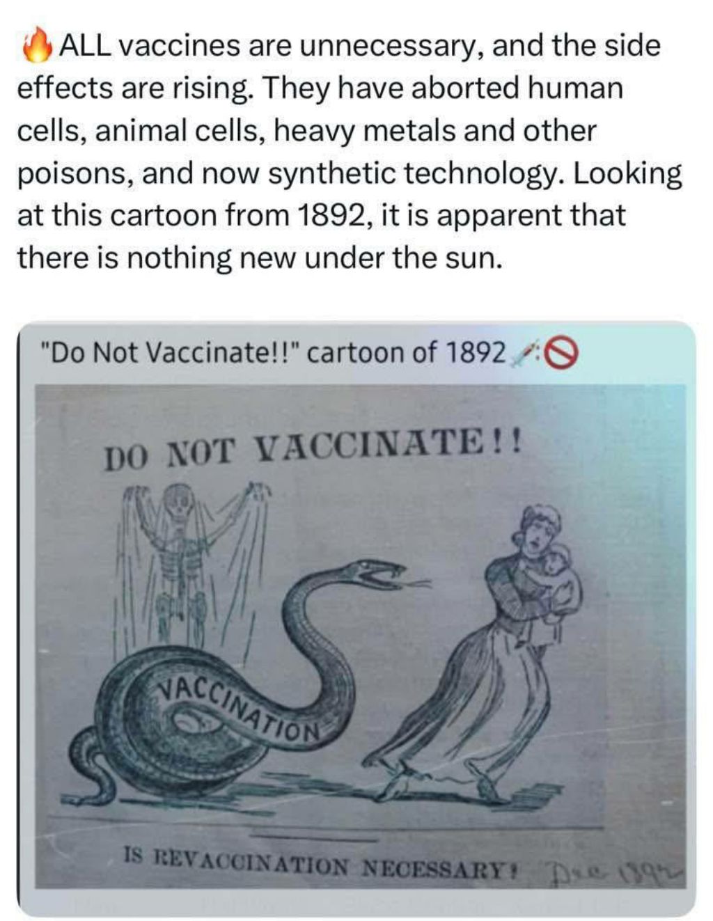 1000027890.jpg