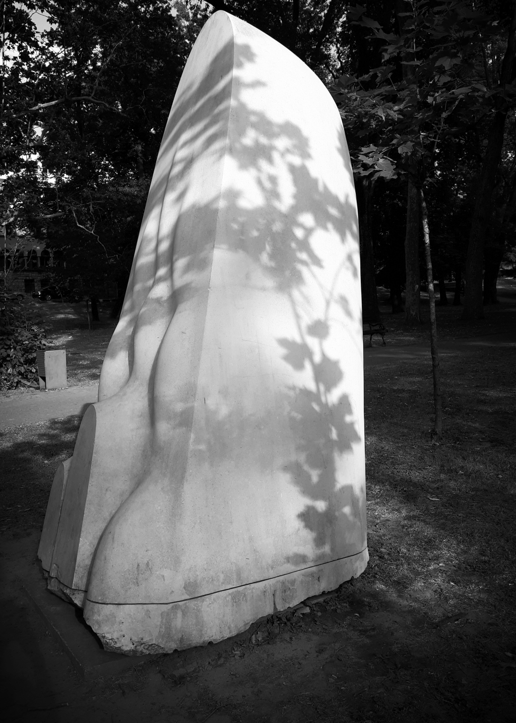 20250714_180010.jpg