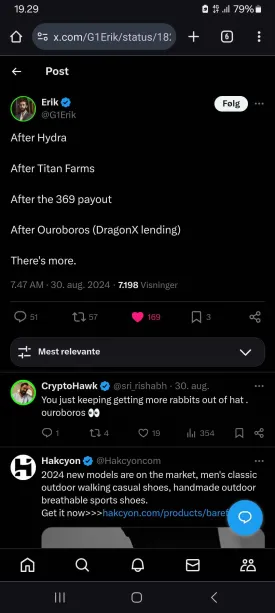 dragonXbuilds.webp