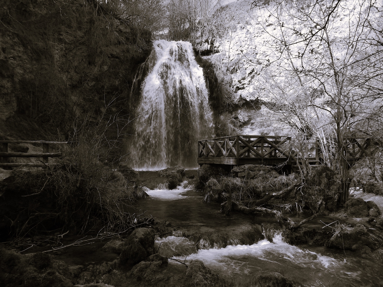 DSCF0962_bw.jpg