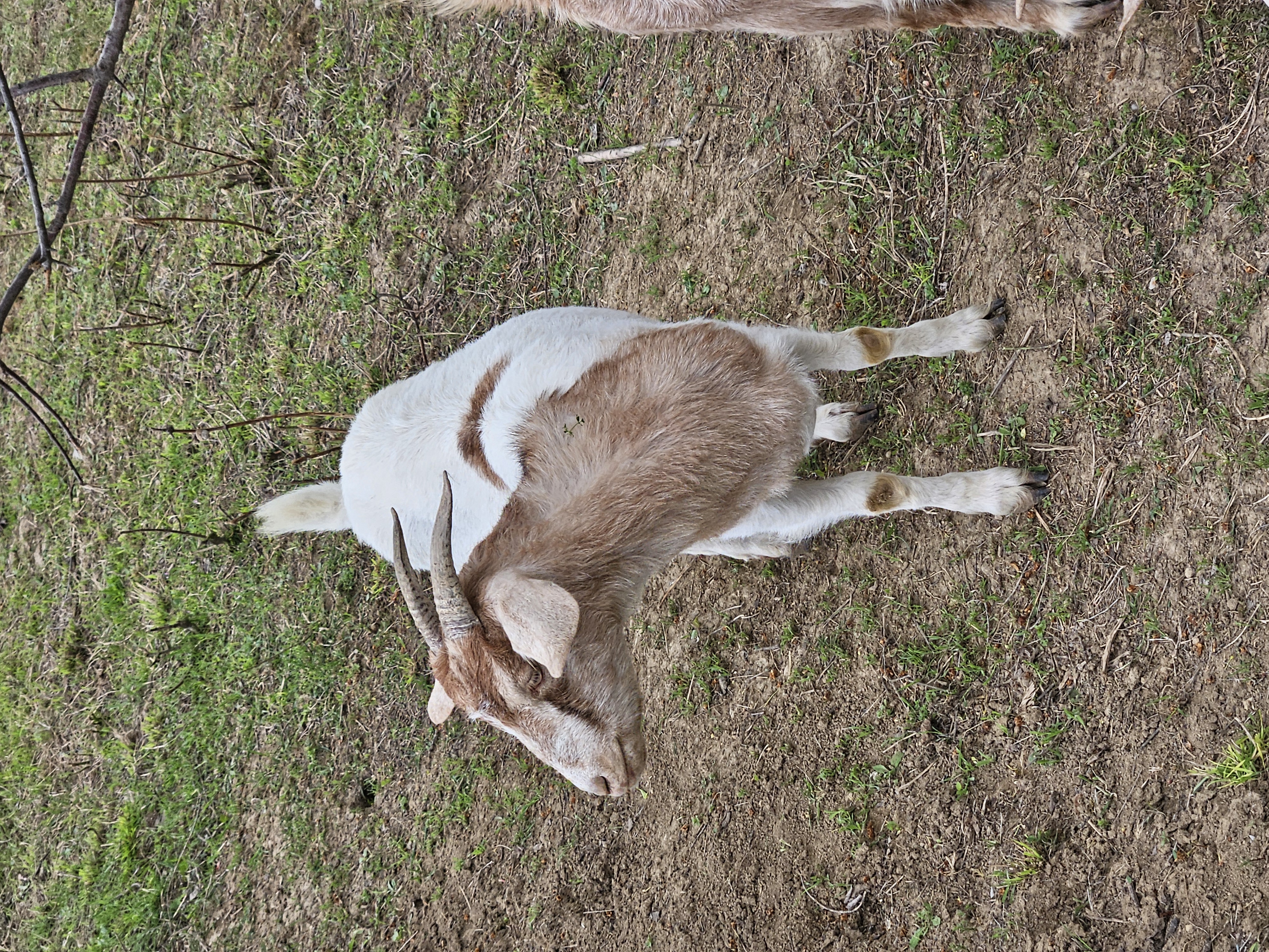20250426_111730.jpg