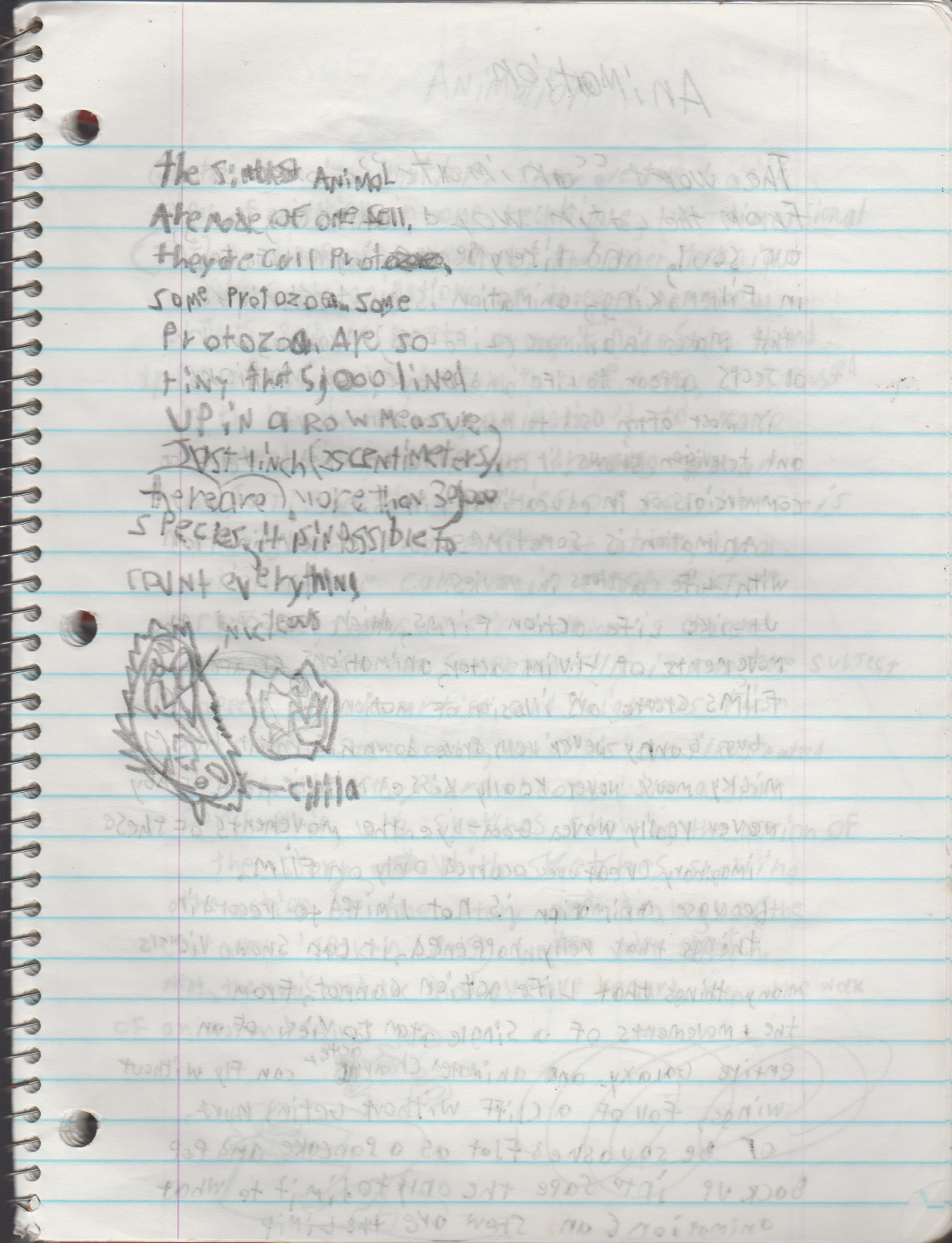 1996-08-18 - Saturday - 11 yr old Joey Arnold's School Book, dates through to 1998 apx, mostly 96, Writings, Drawings, Etc-007.png