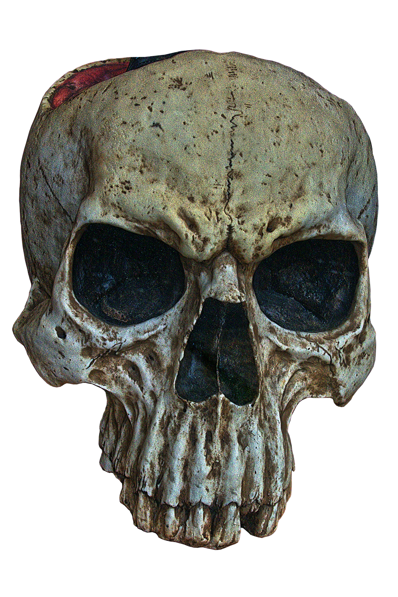 skull-4590483_1920.png