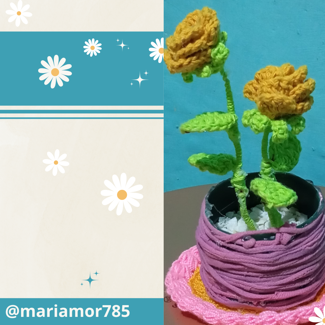@mariamor785 (16).png