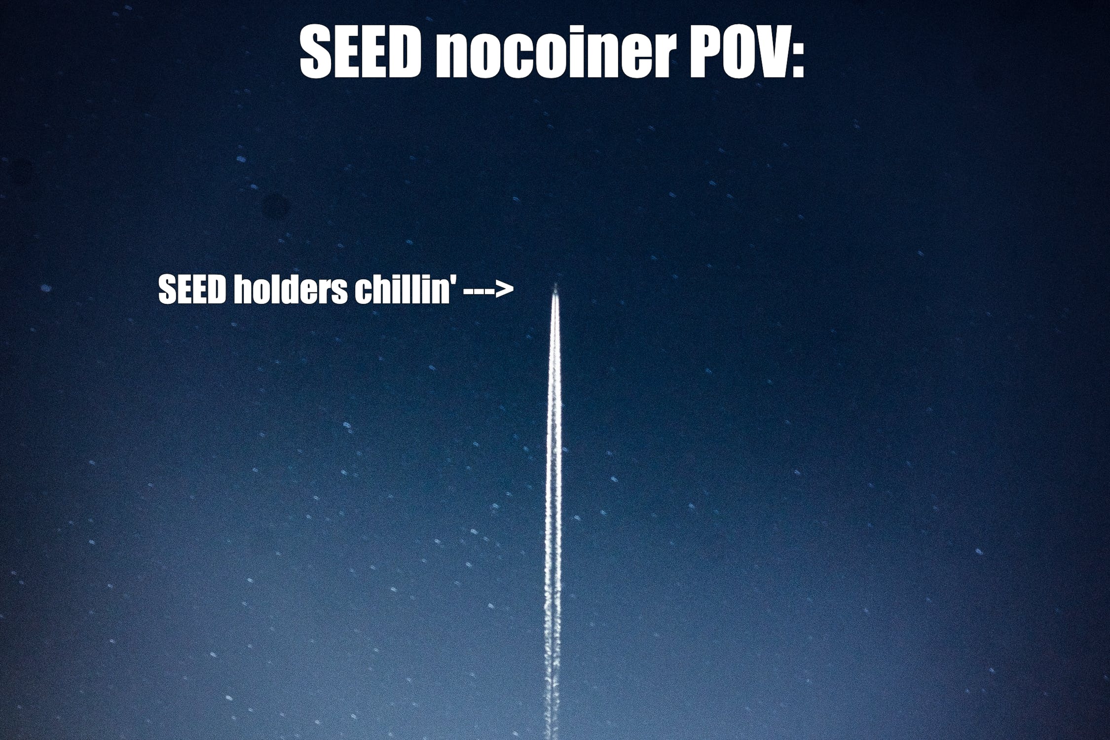 seedpov.jpeg