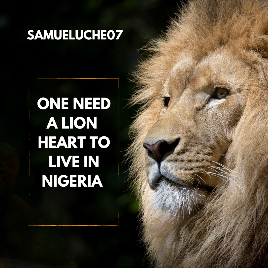 Lion World Wildlife Day and Quote Instagram Post_20240530_095959_0000.png