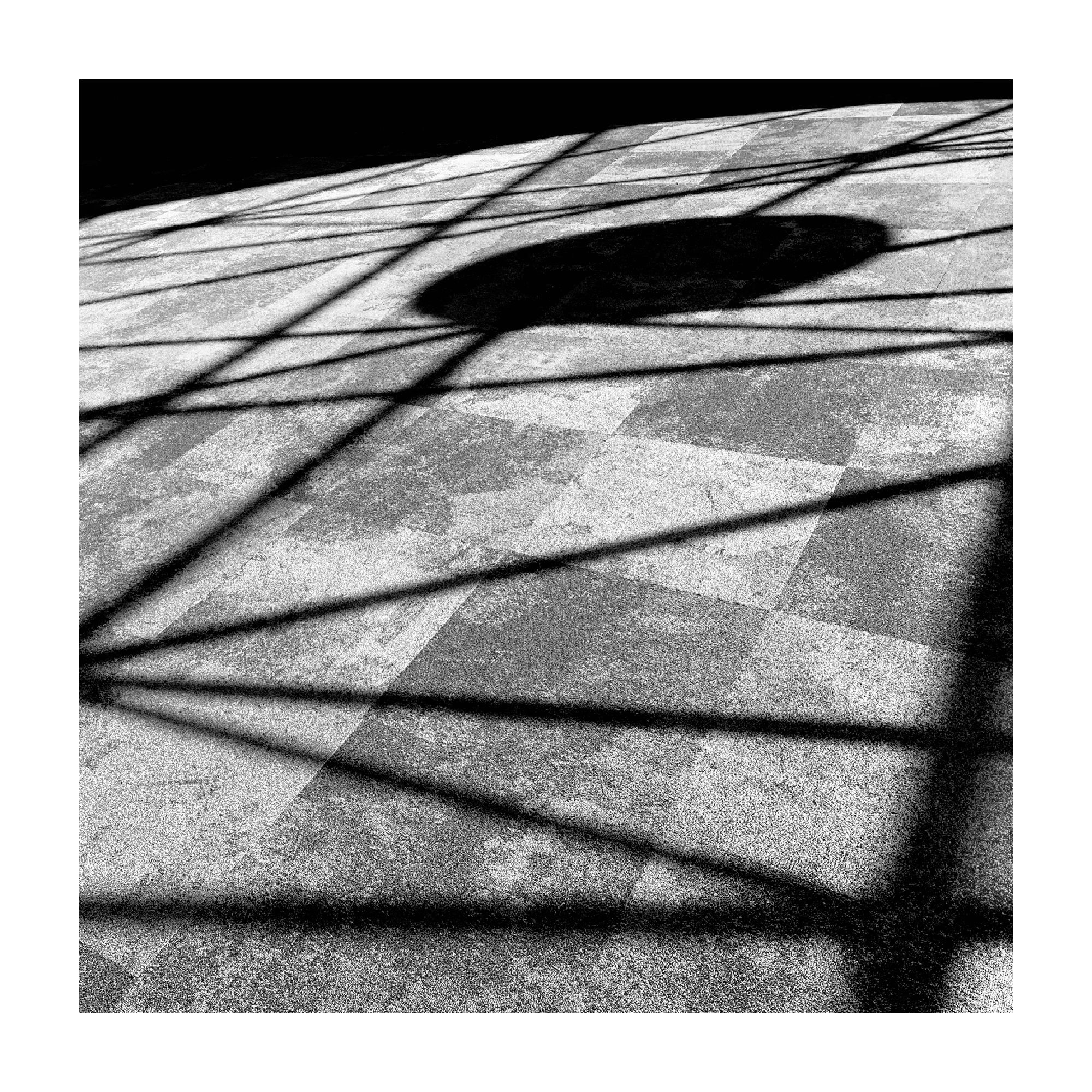 IMG_9680.jpeg