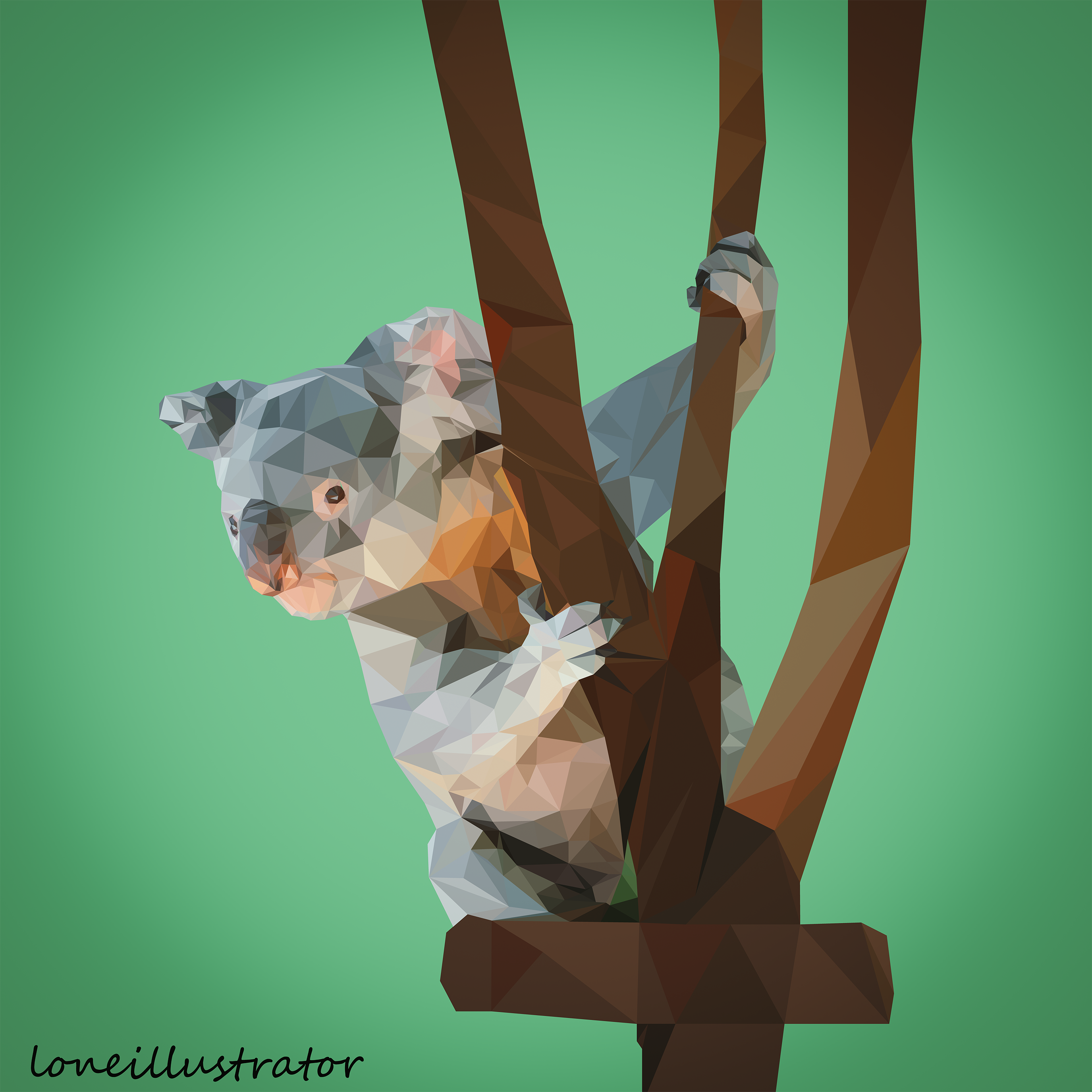 koala-resampled.png