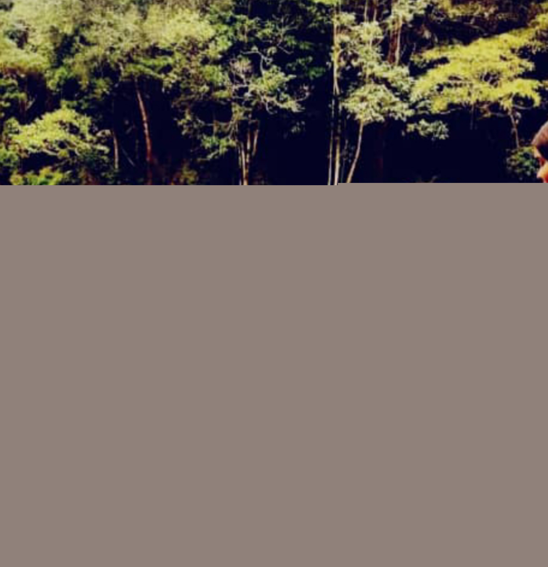 InShot_20220128_225940536.jpg