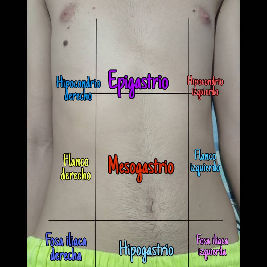 cuadrante de ubicación del páncreas