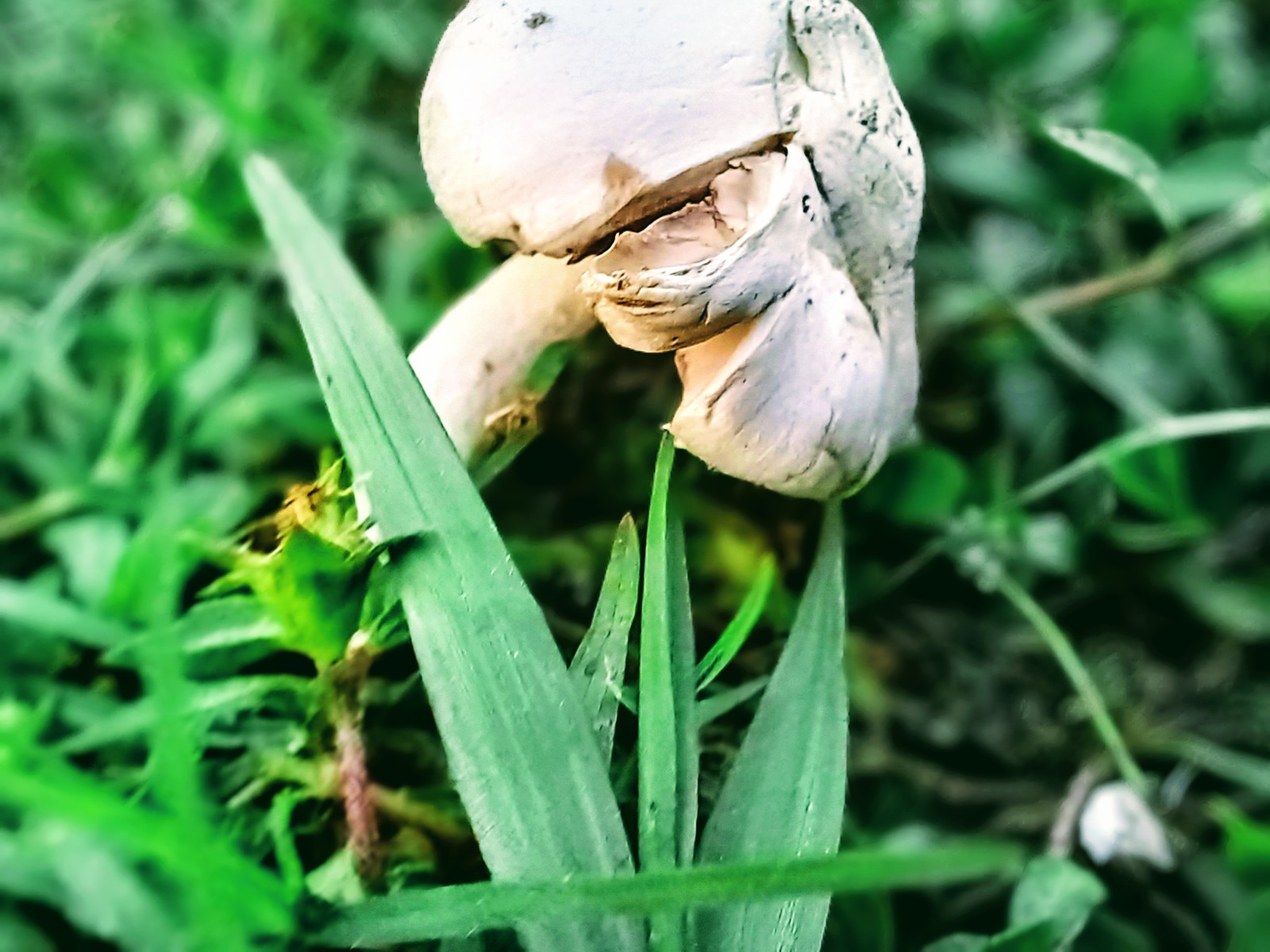 20250324_181410~2.jpg