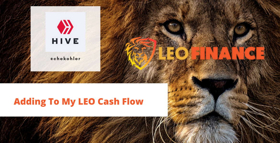 LEO cash flow.png