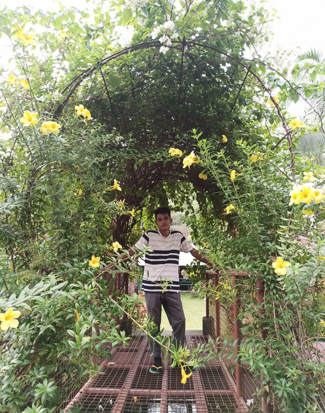 Screenshot_20250402-184856.jpg