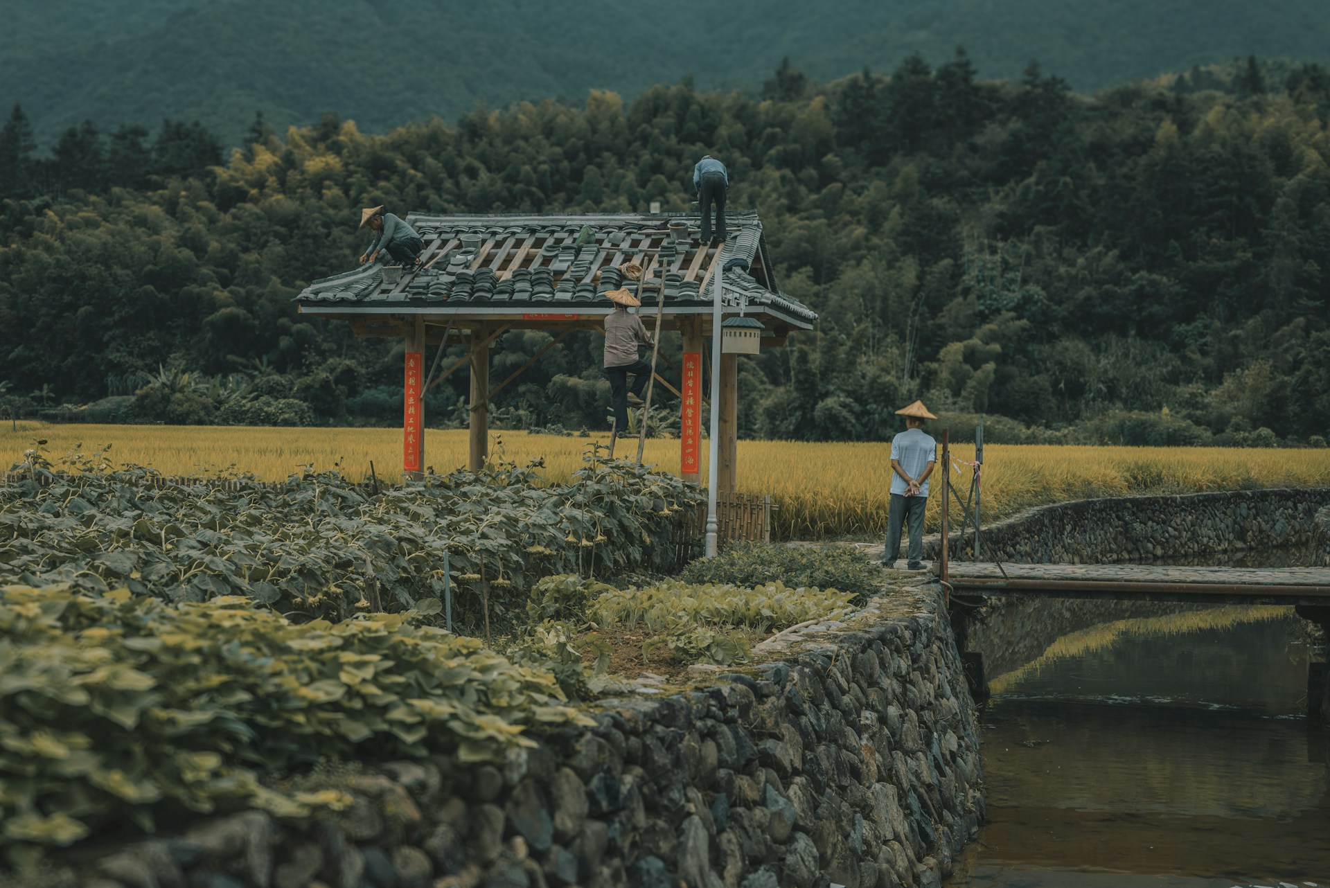 wang-binghua-CLMebXKotTM-unsplash.jpg