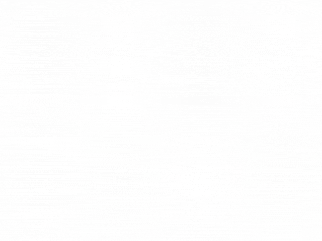 Diptera(1).gif