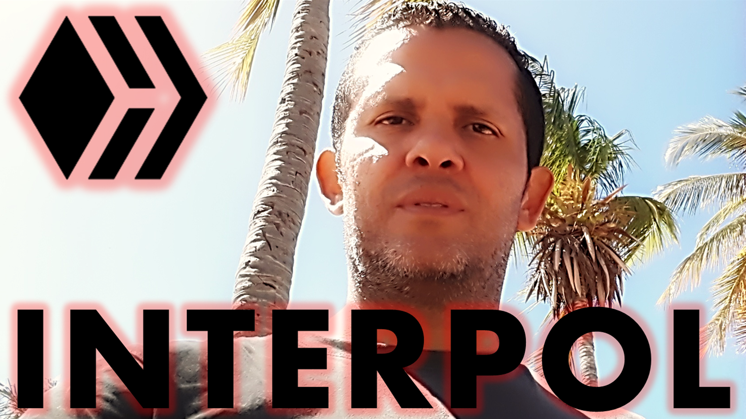 PORTADA INTERPOL.png