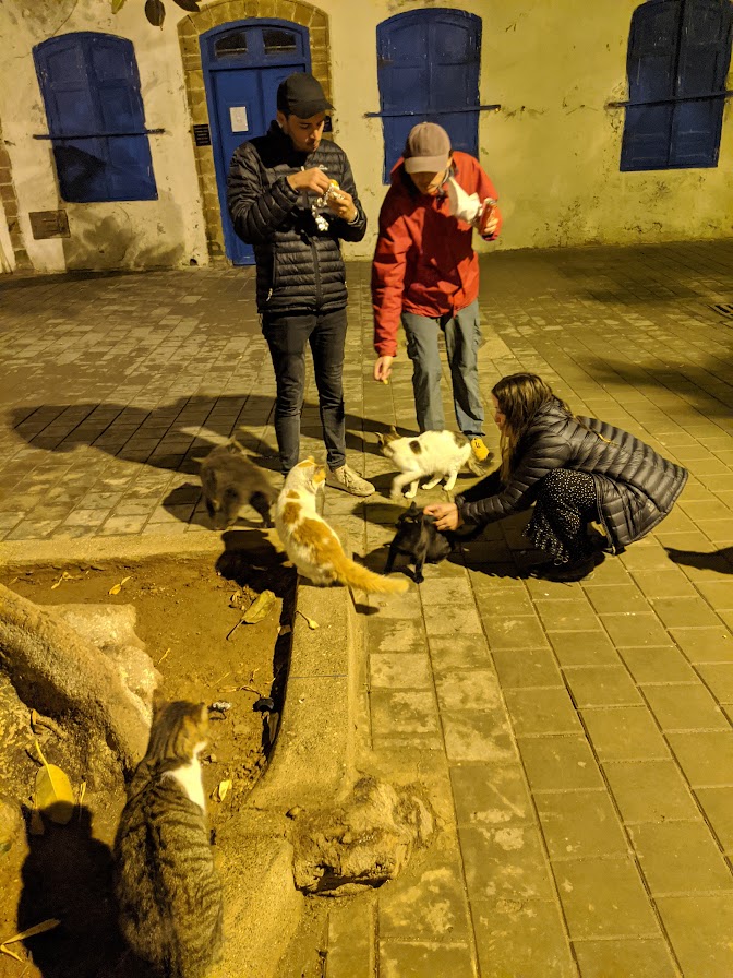 IMG_20191205_002805.jpg