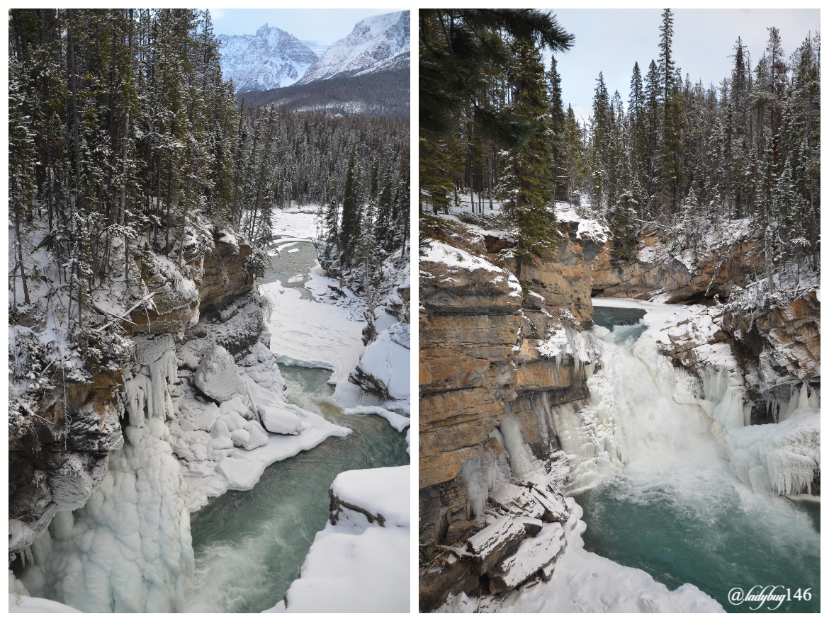 sunwapta falls (5).jpg