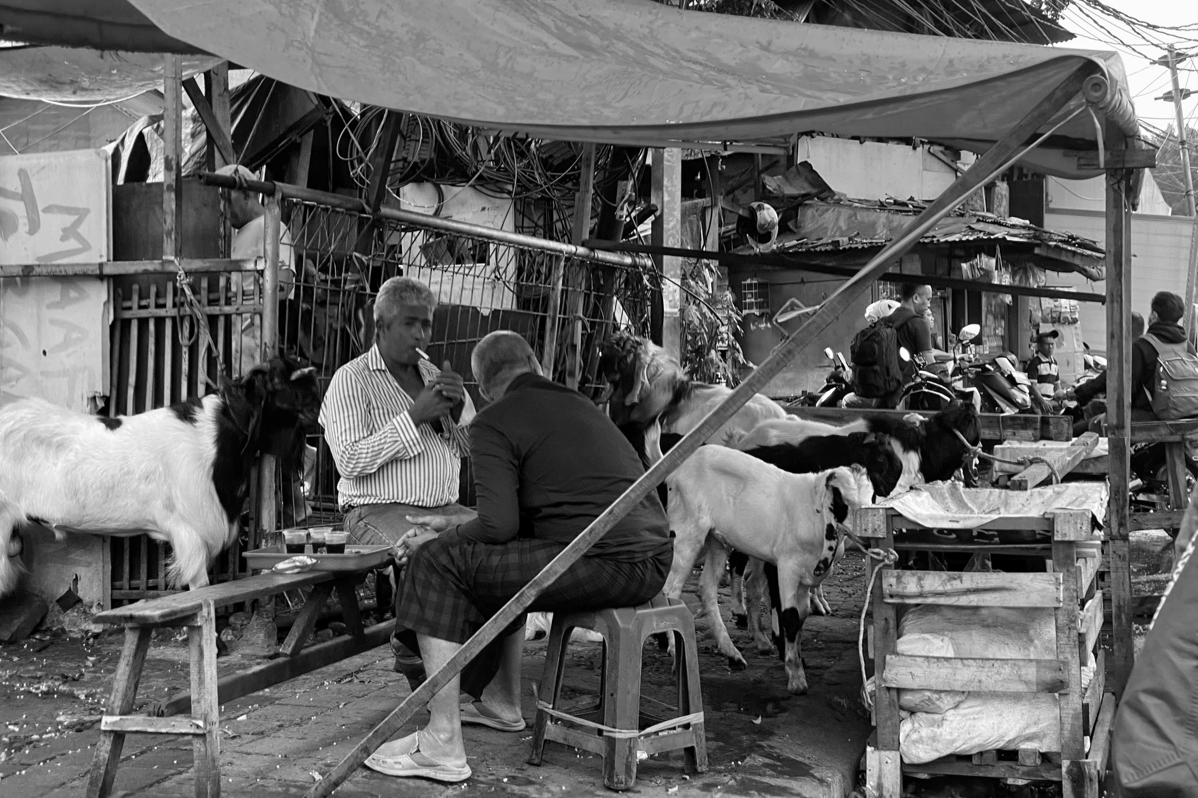 image00012-07-min.jpeg