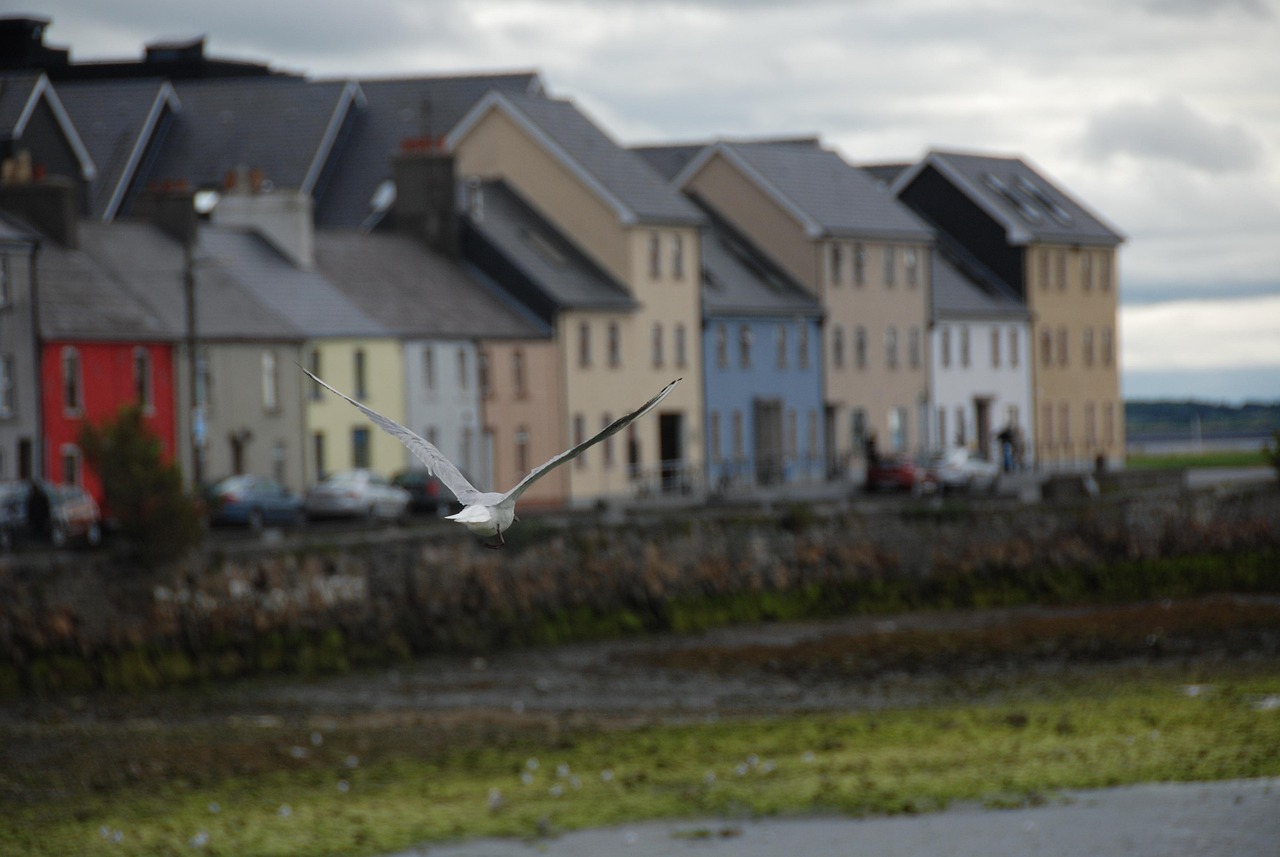 galway-5066340_1280.jpg