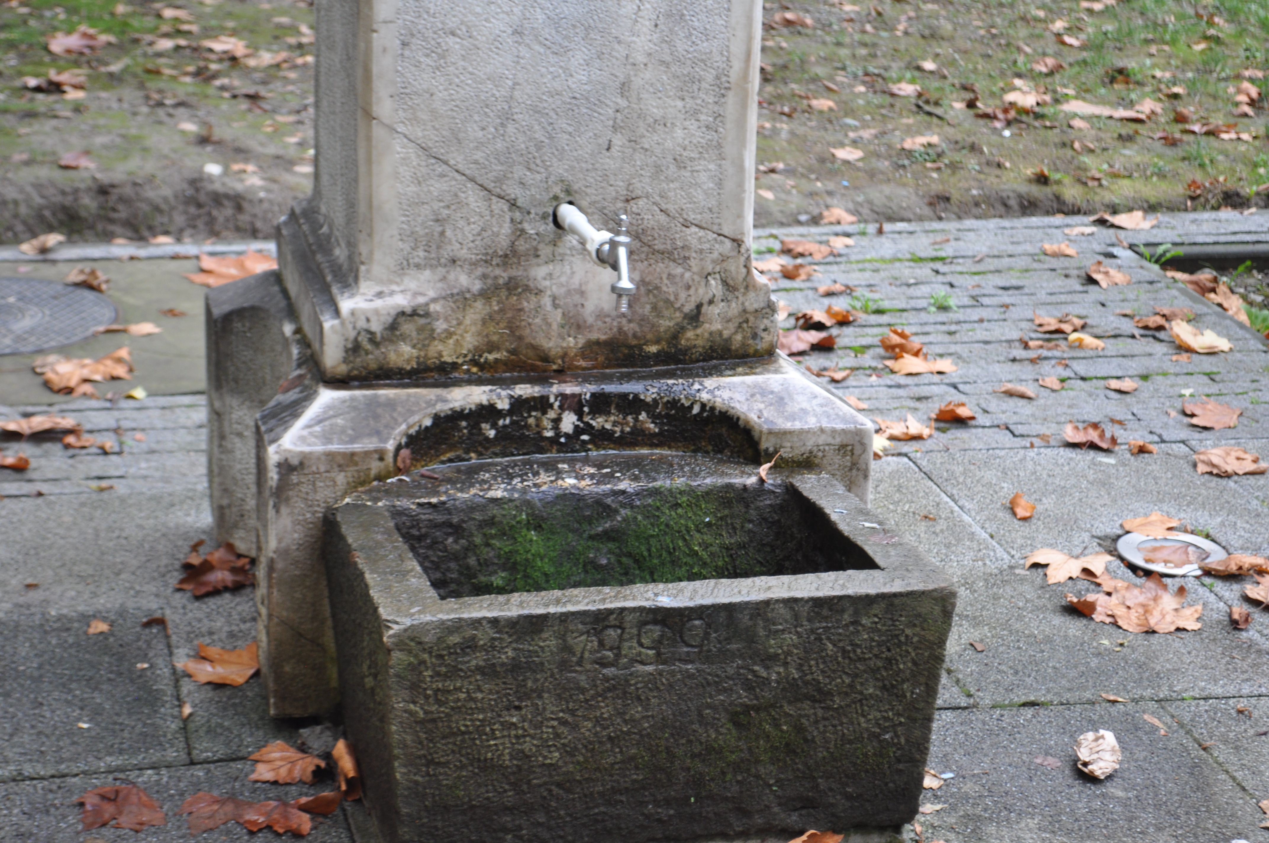 DSC_0469.JPG