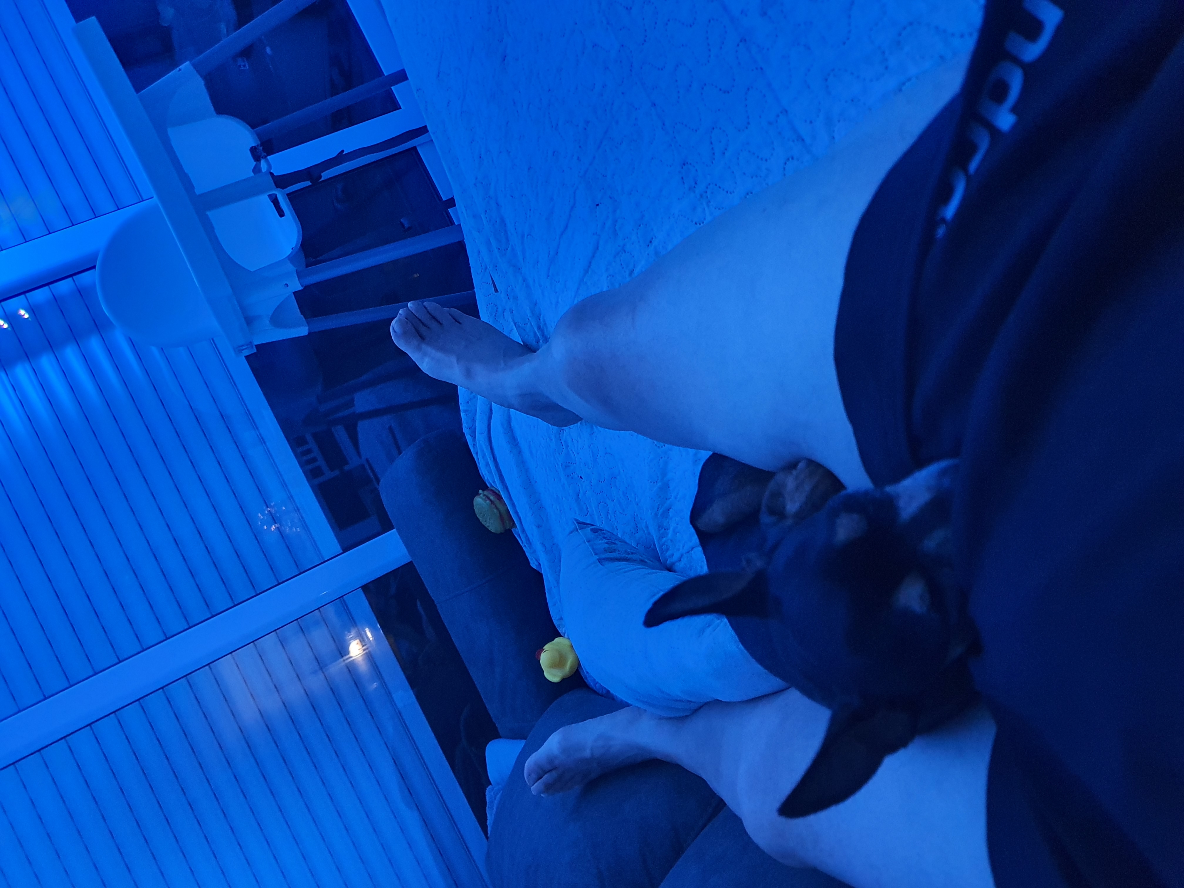 20240919_015751.jpg
