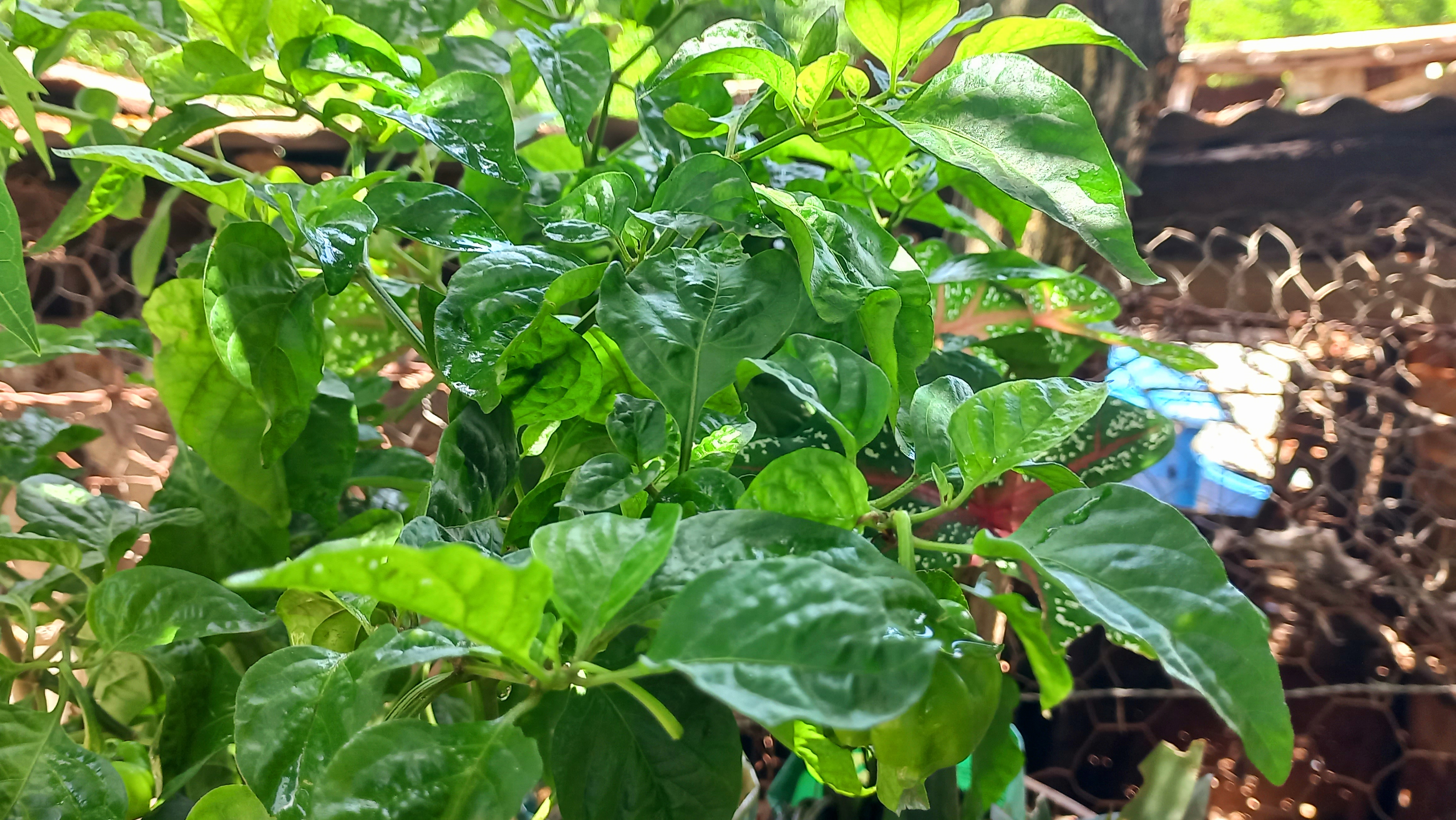 20250806_124541.jpg