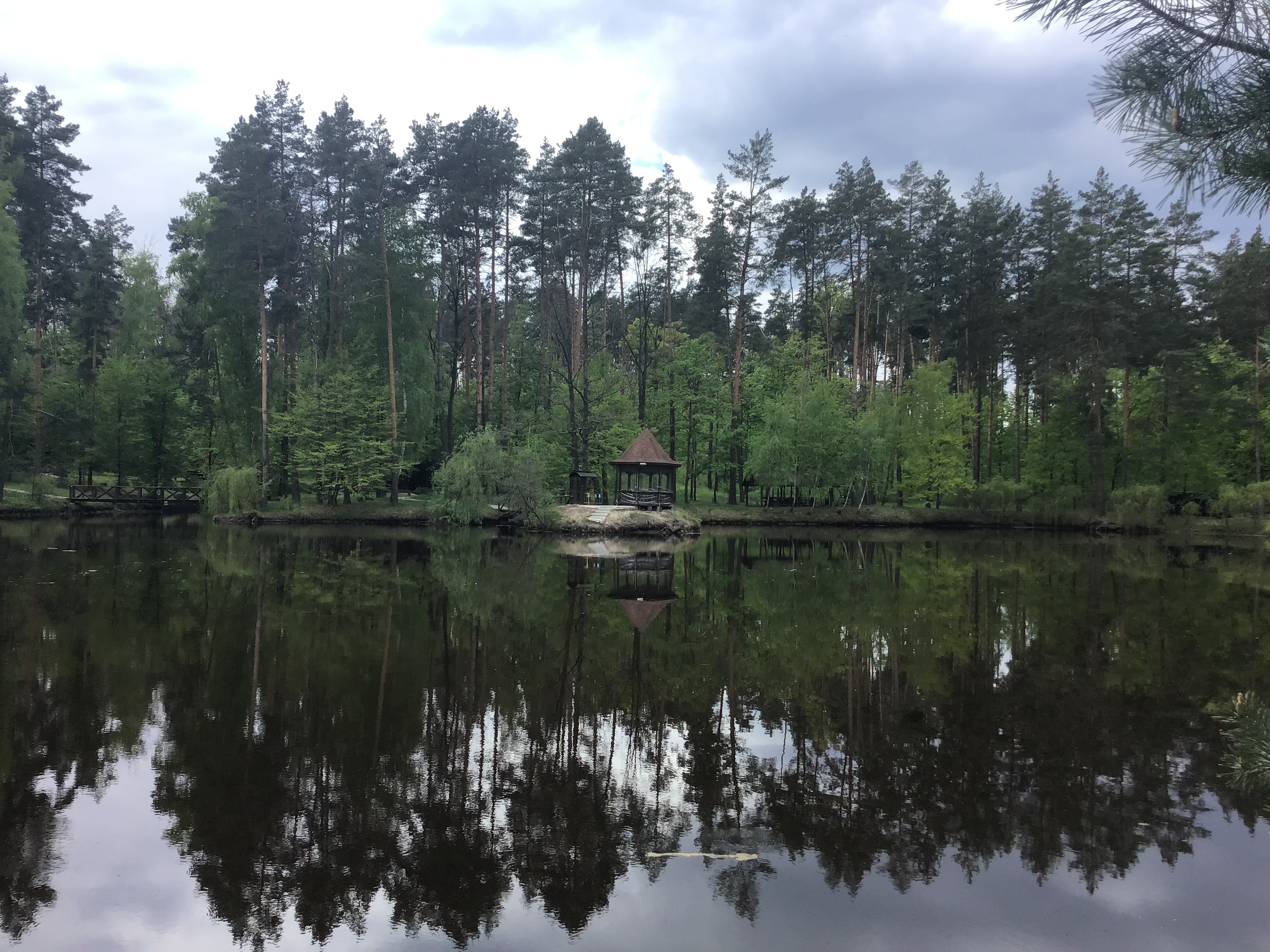 IMG_6489.jpeg