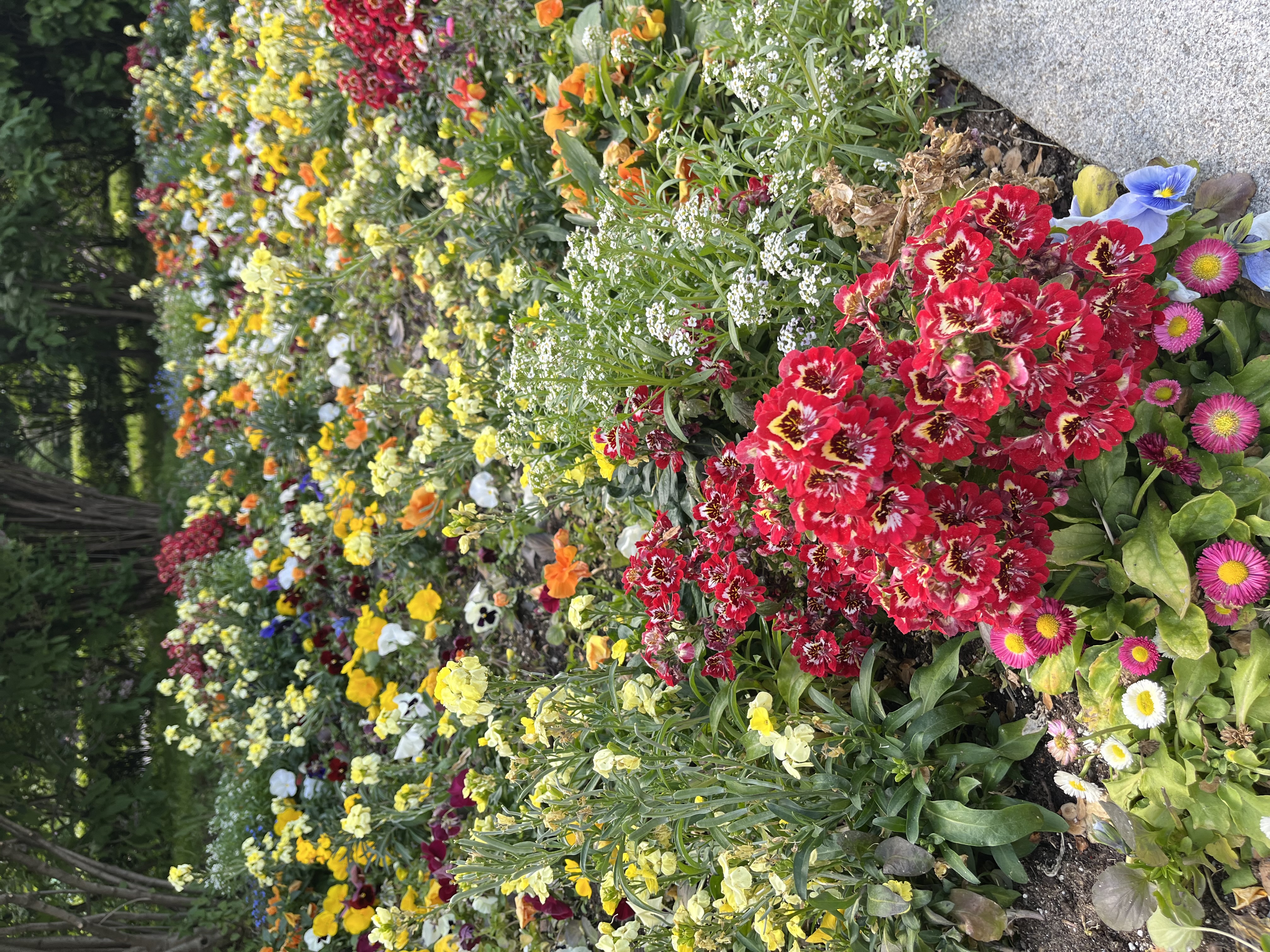 IMG_3326.jpeg