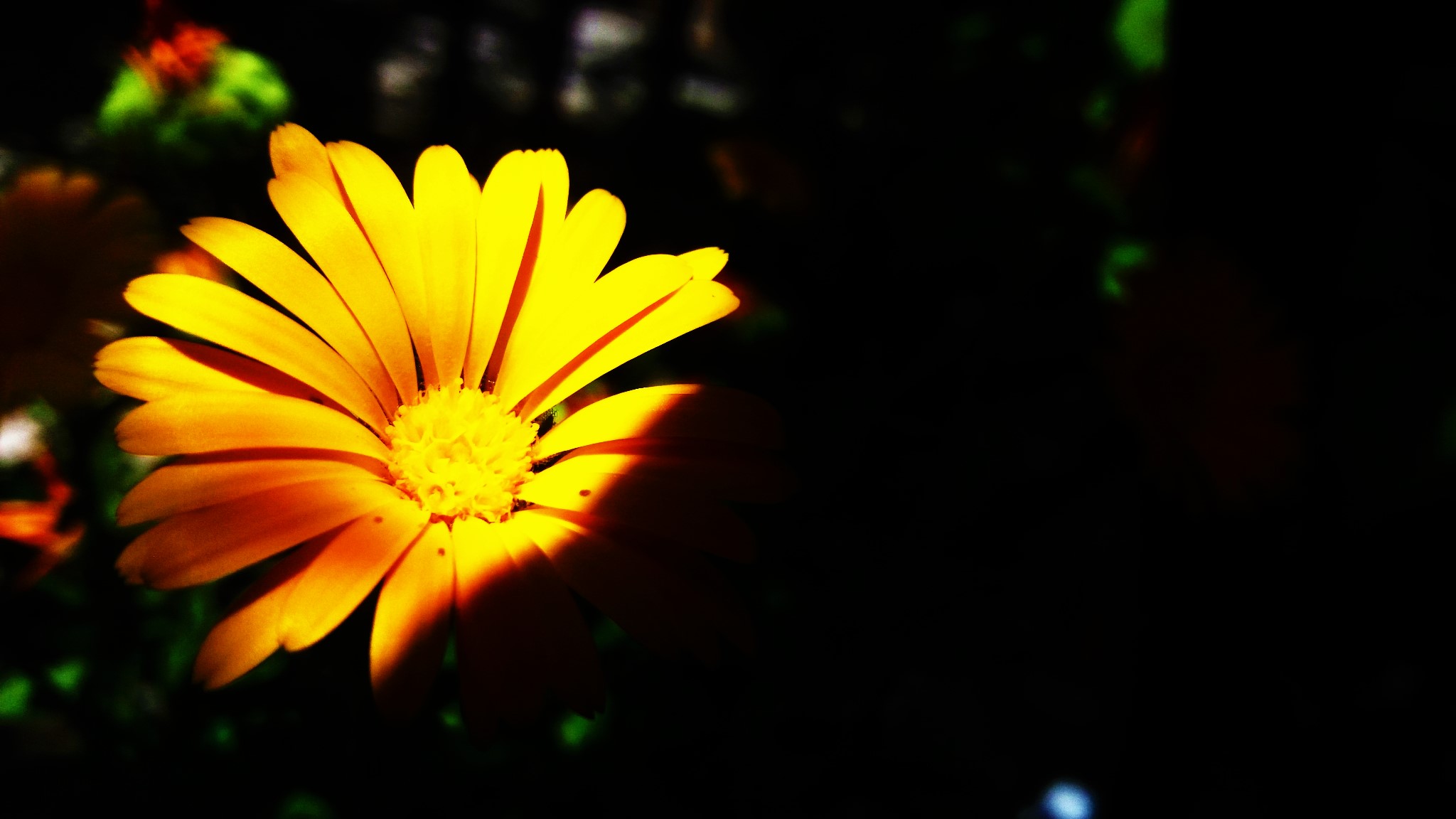 CYMERA_20200519_102206.jpg