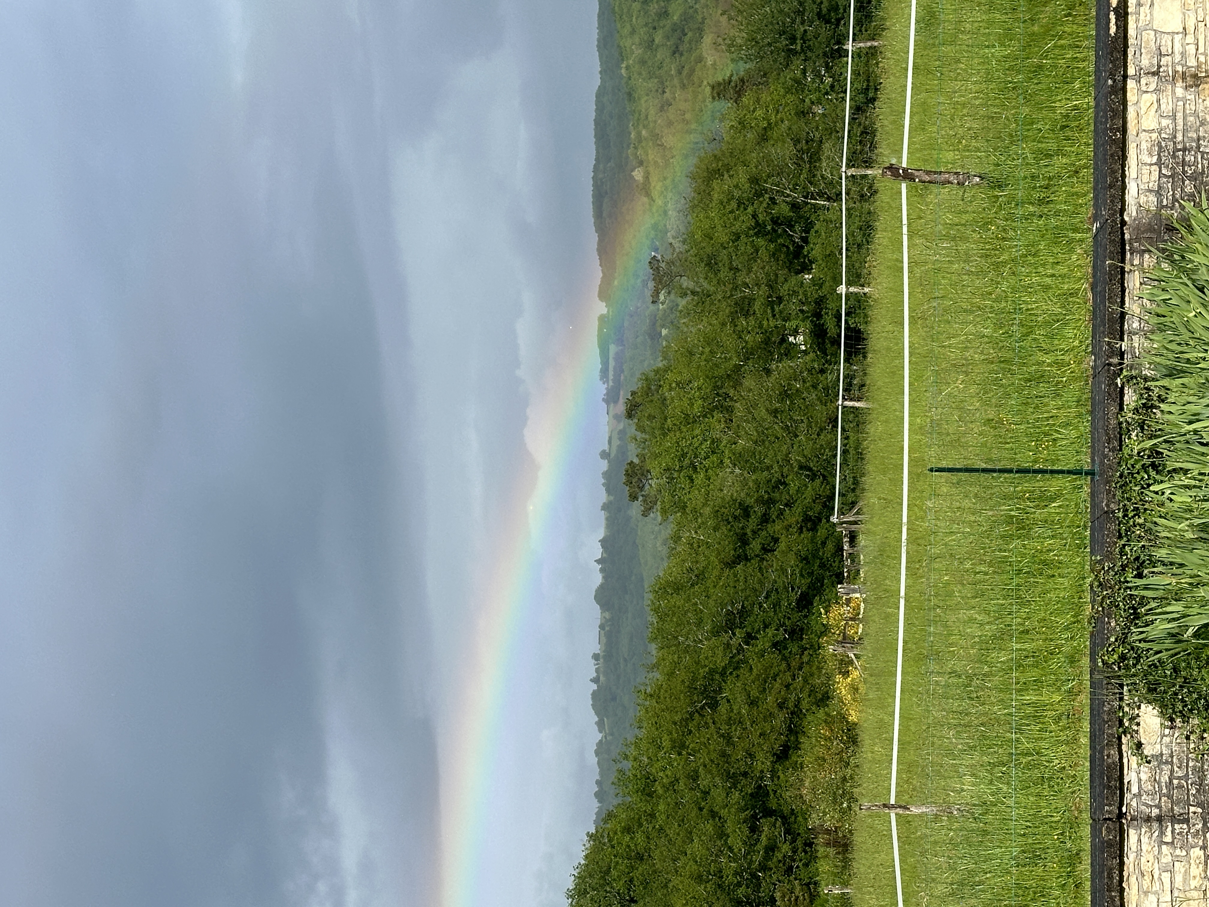 IMG_2548.jpeg