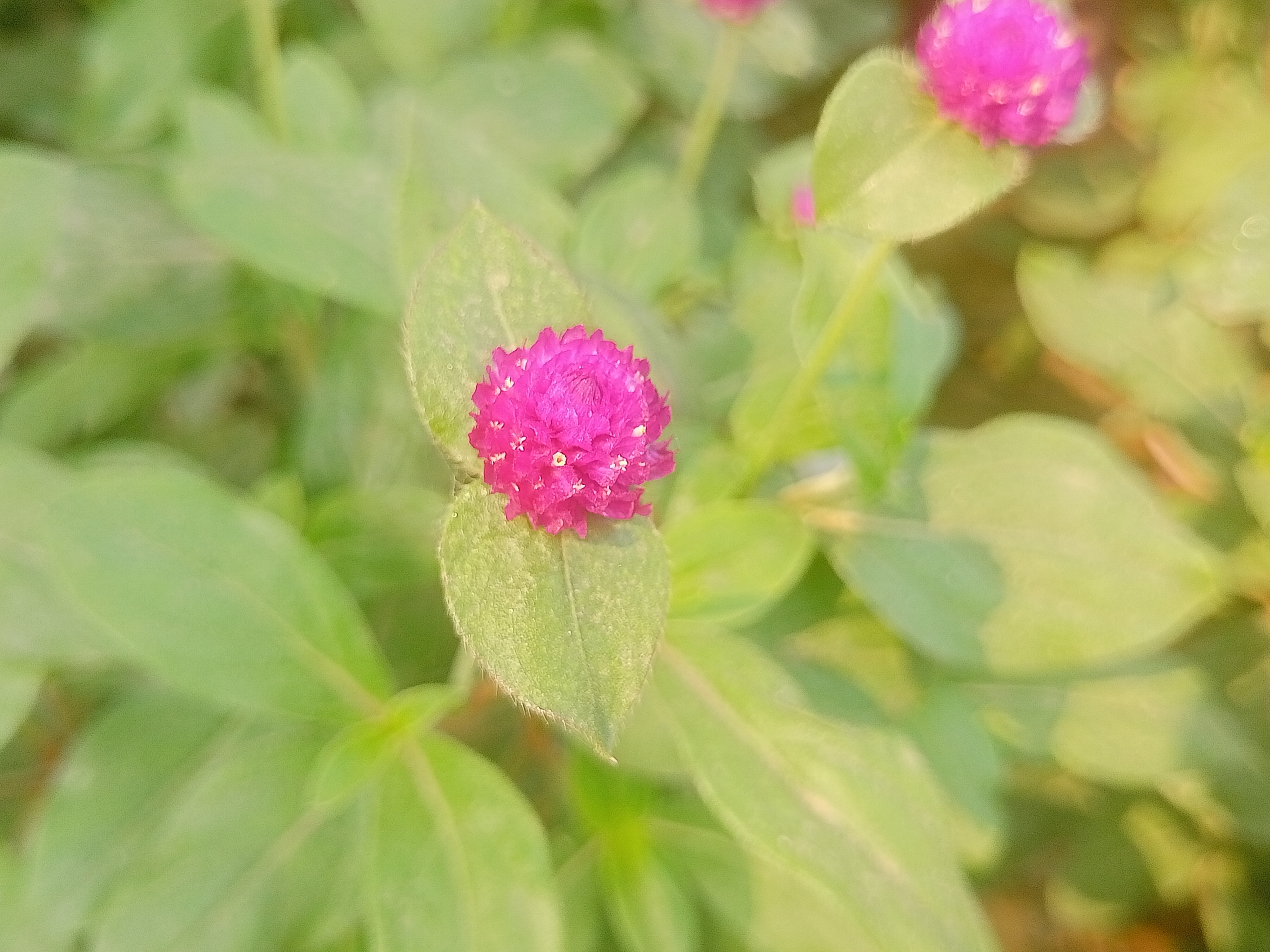 IMG20250429143822.jpg
